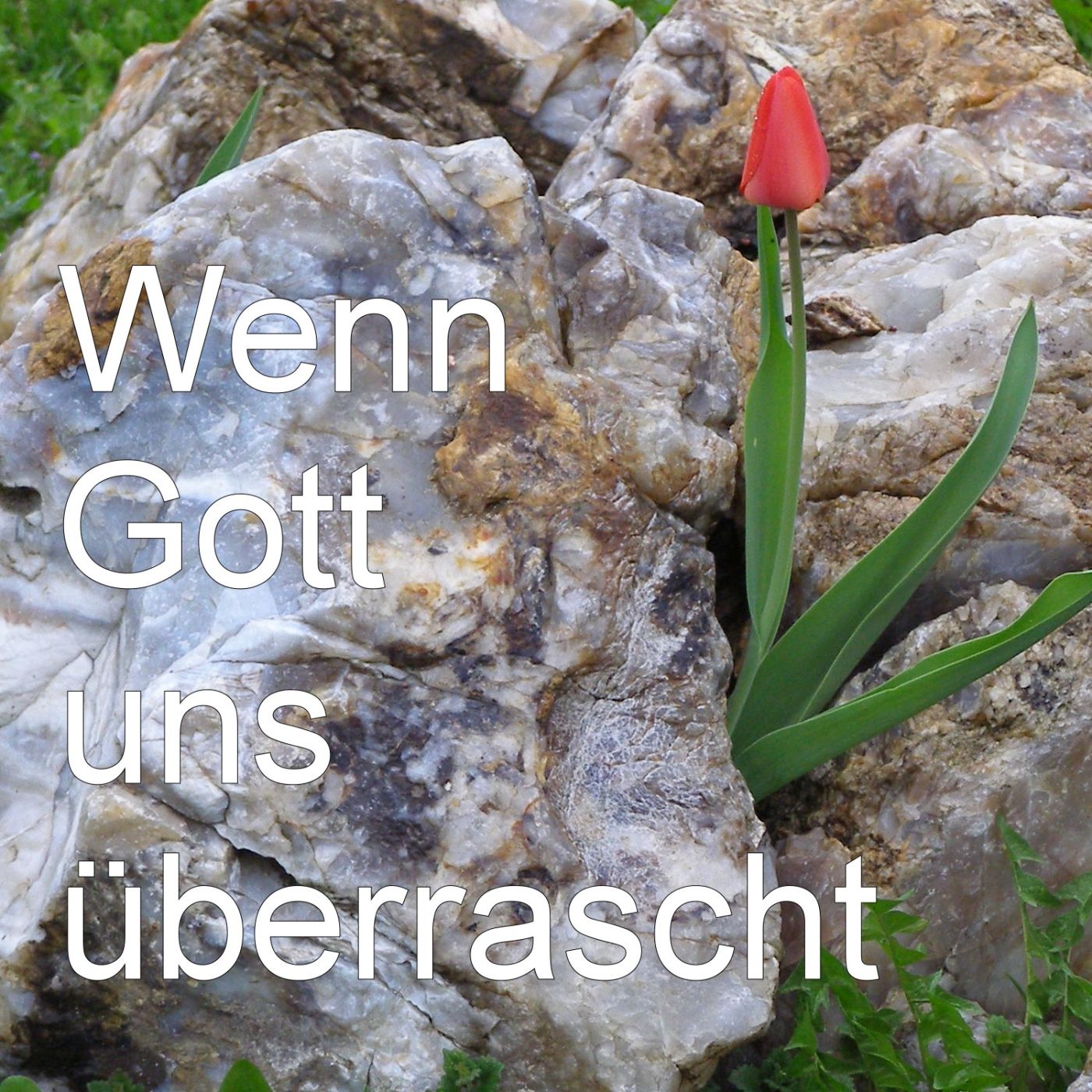 Wenn Gott uns überrascht episode artwork