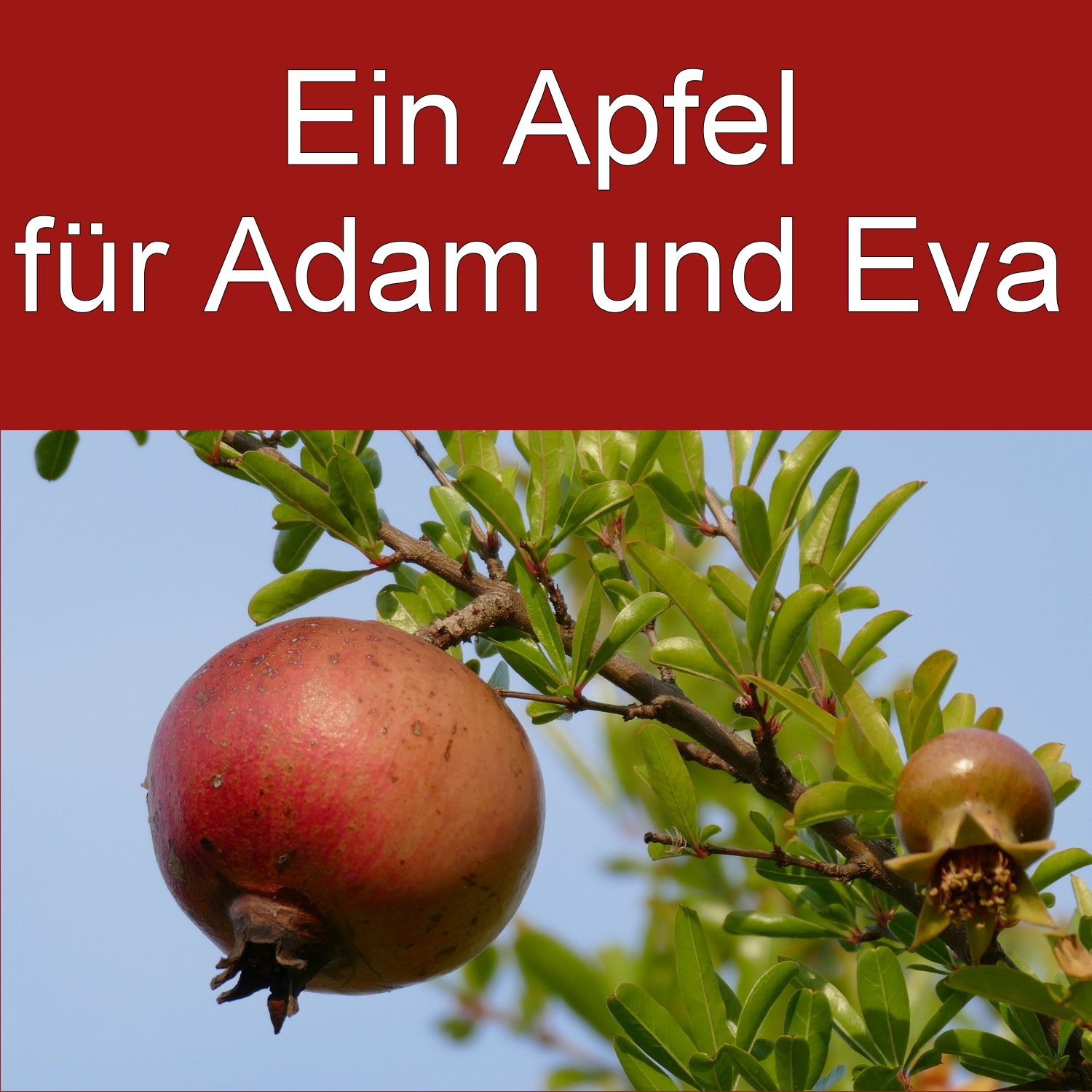 Ein Apfel für Adam und Eva episode artwork