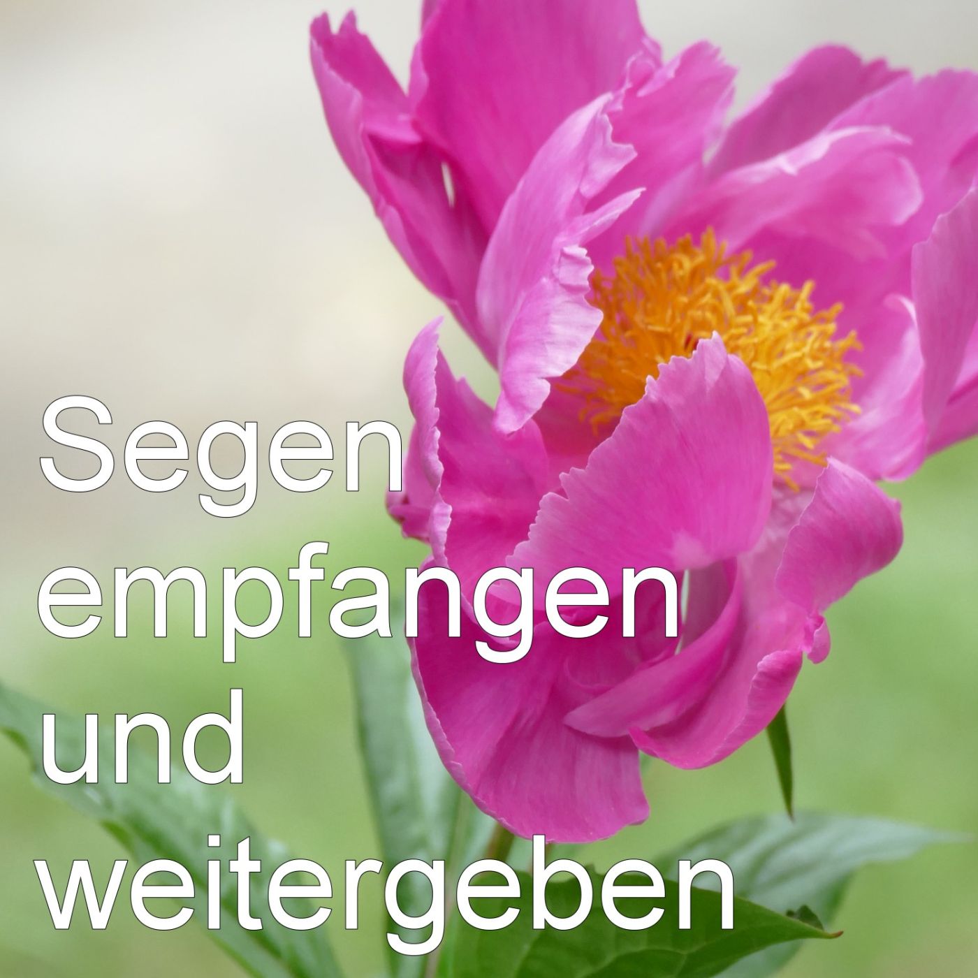 Segen empfangen und weitergeben episode artwork