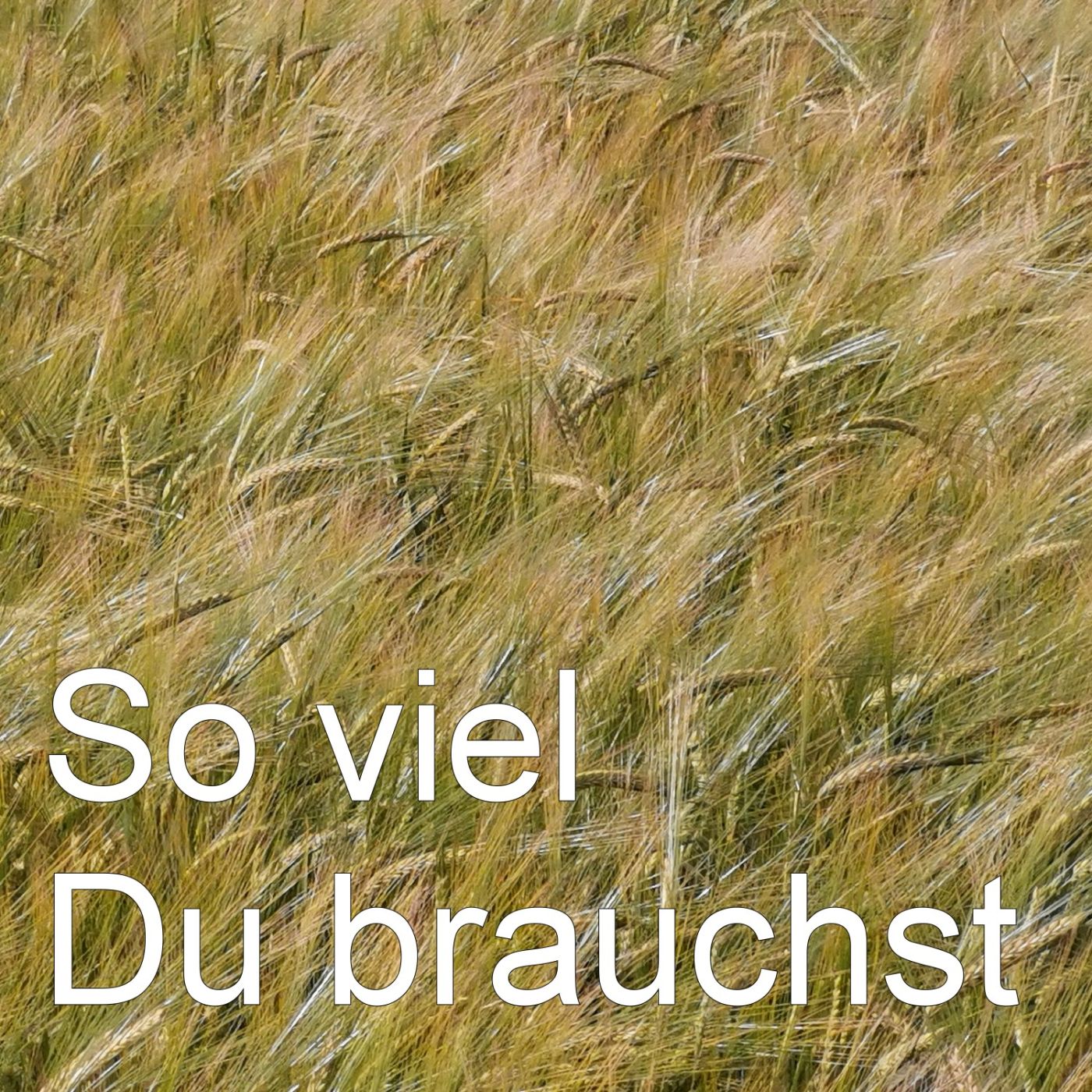 So viel du brauchst episode artwork