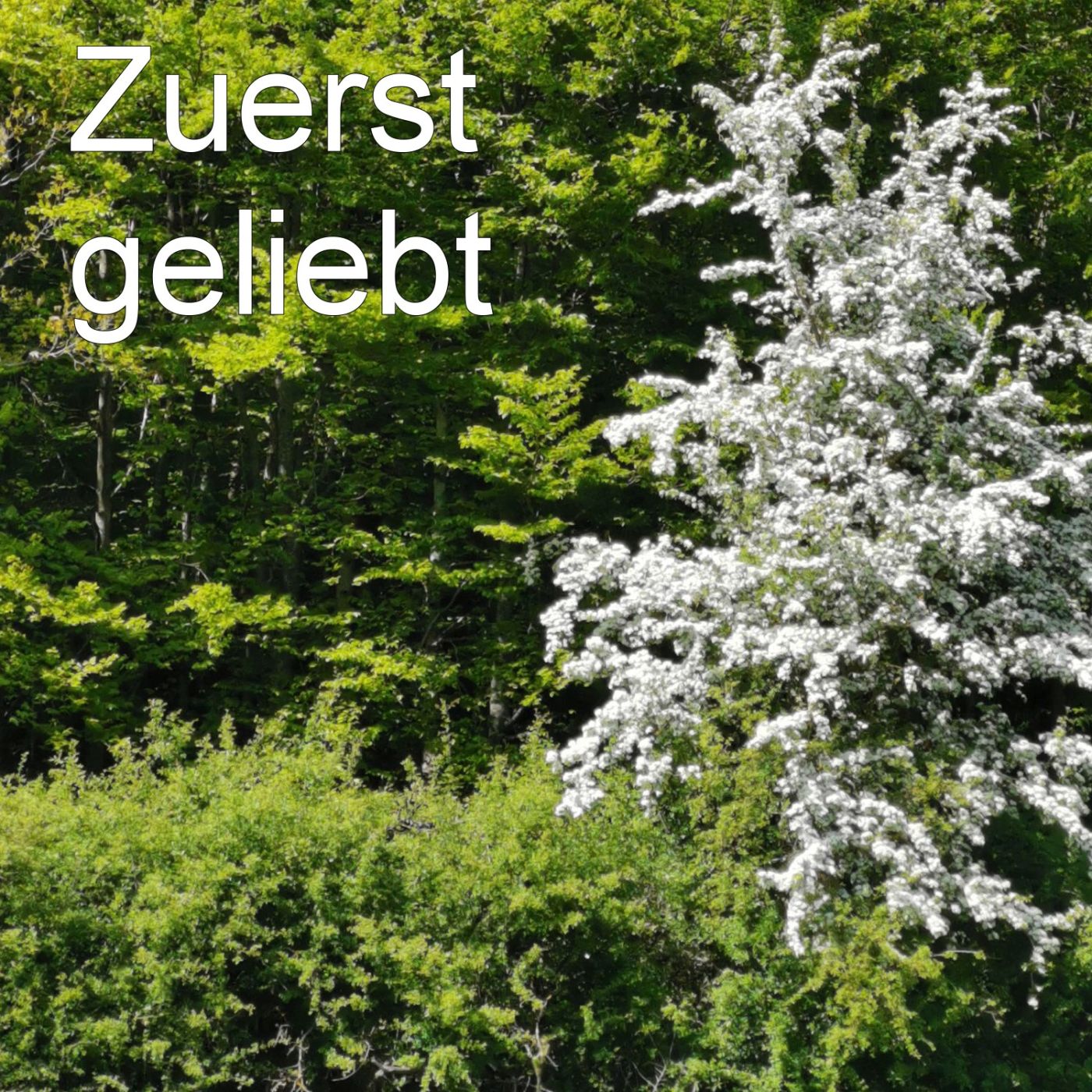 Zuerst geliebt episode artwork