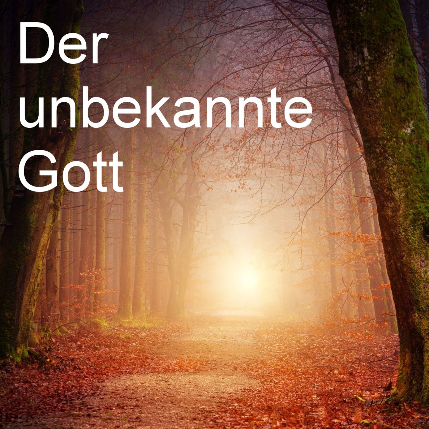 Der unbekannte Gott episode artwork