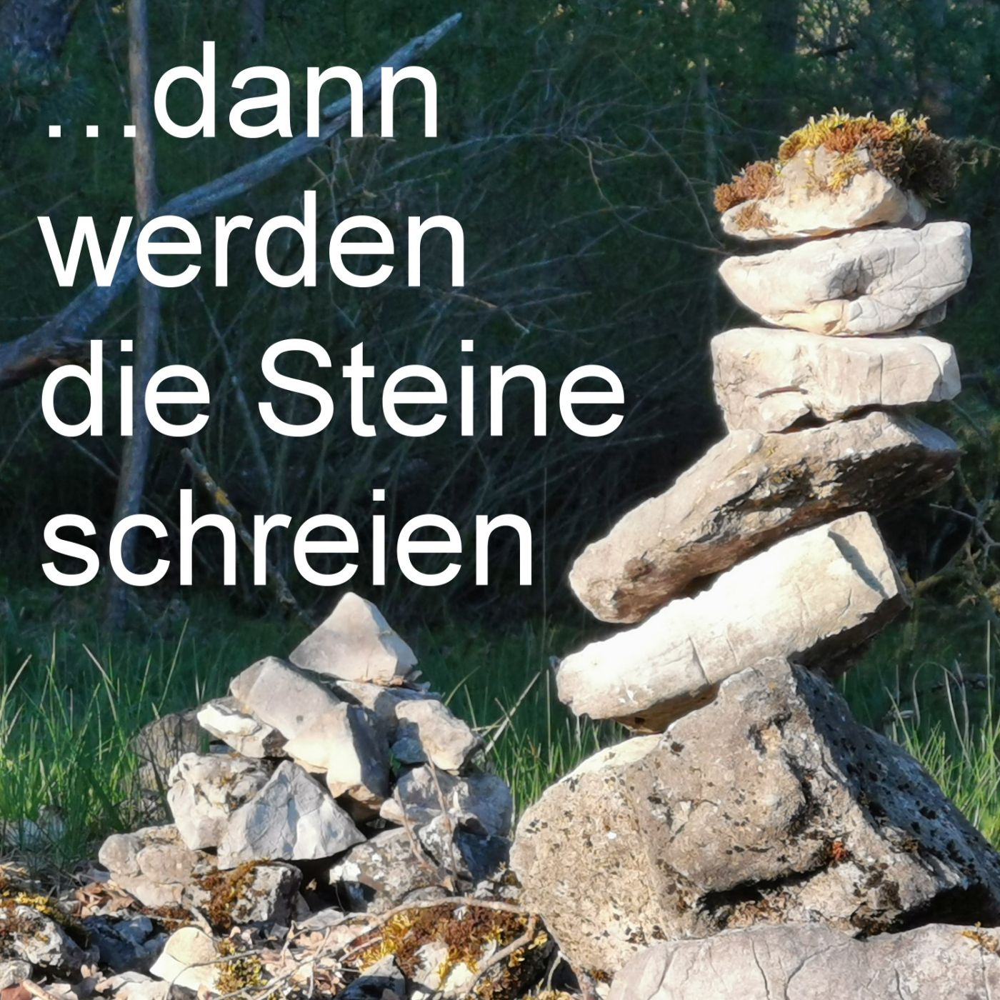 ... dann werden die Steine schreien episode artwork