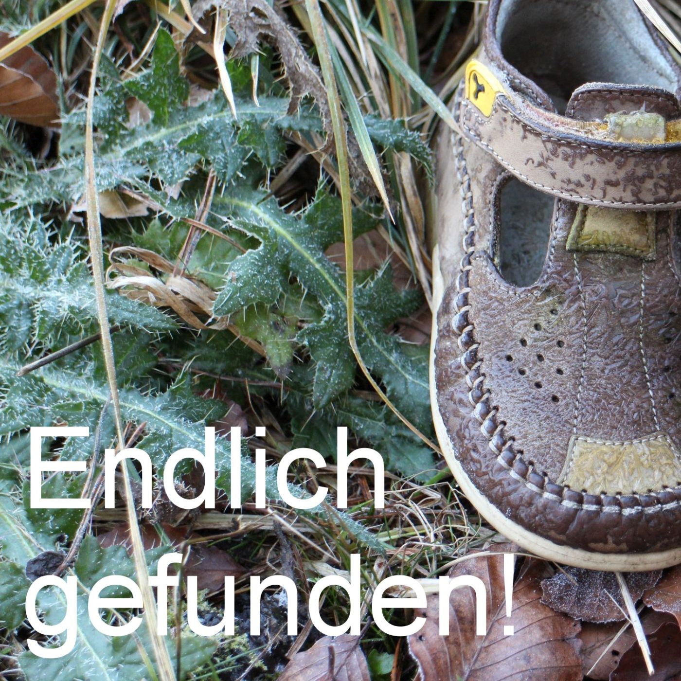 Endlich gefunden episode artwork