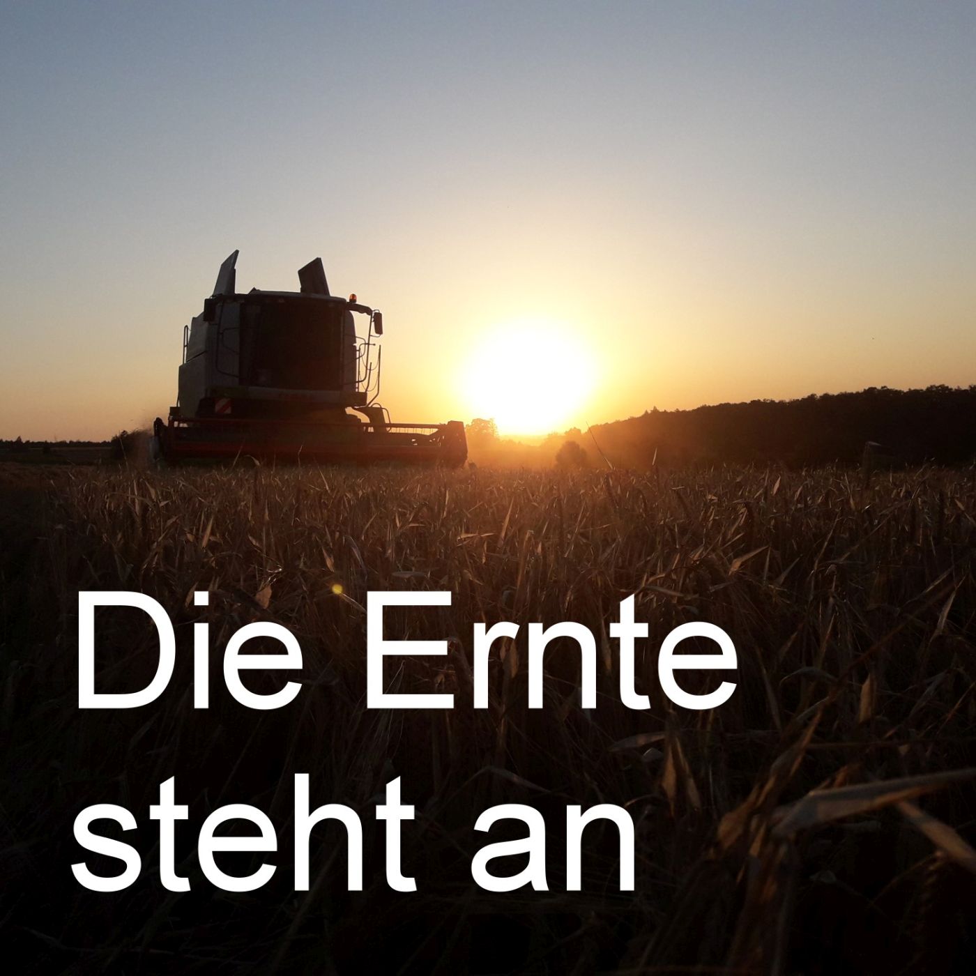 Die Ernte steht an episode artwork