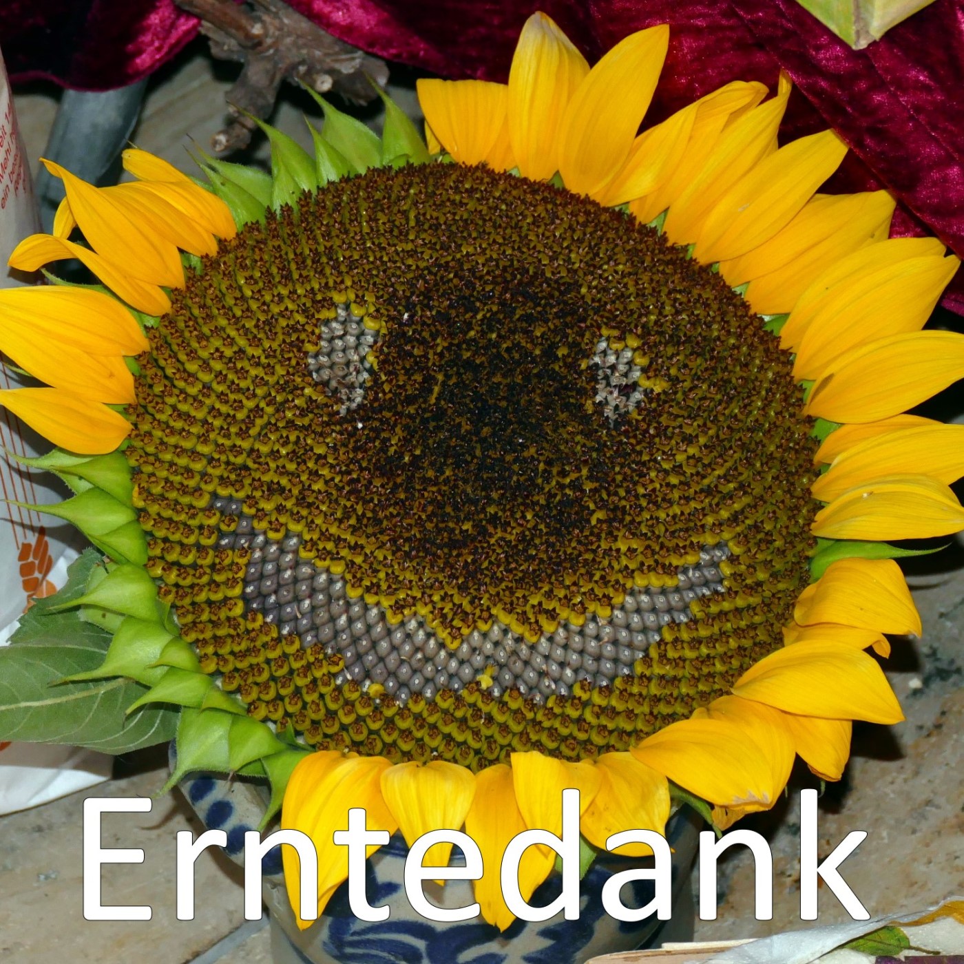 Erntedank und Martin Luther episode artwork