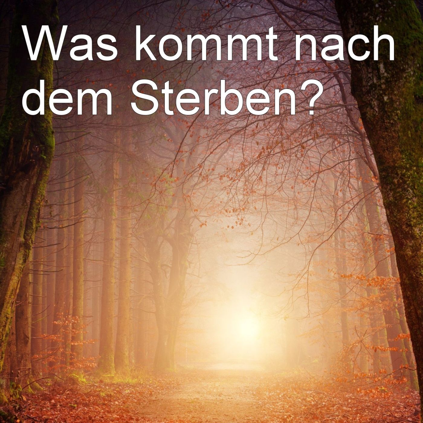 Was kommt nach dem Sterben? episode artwork