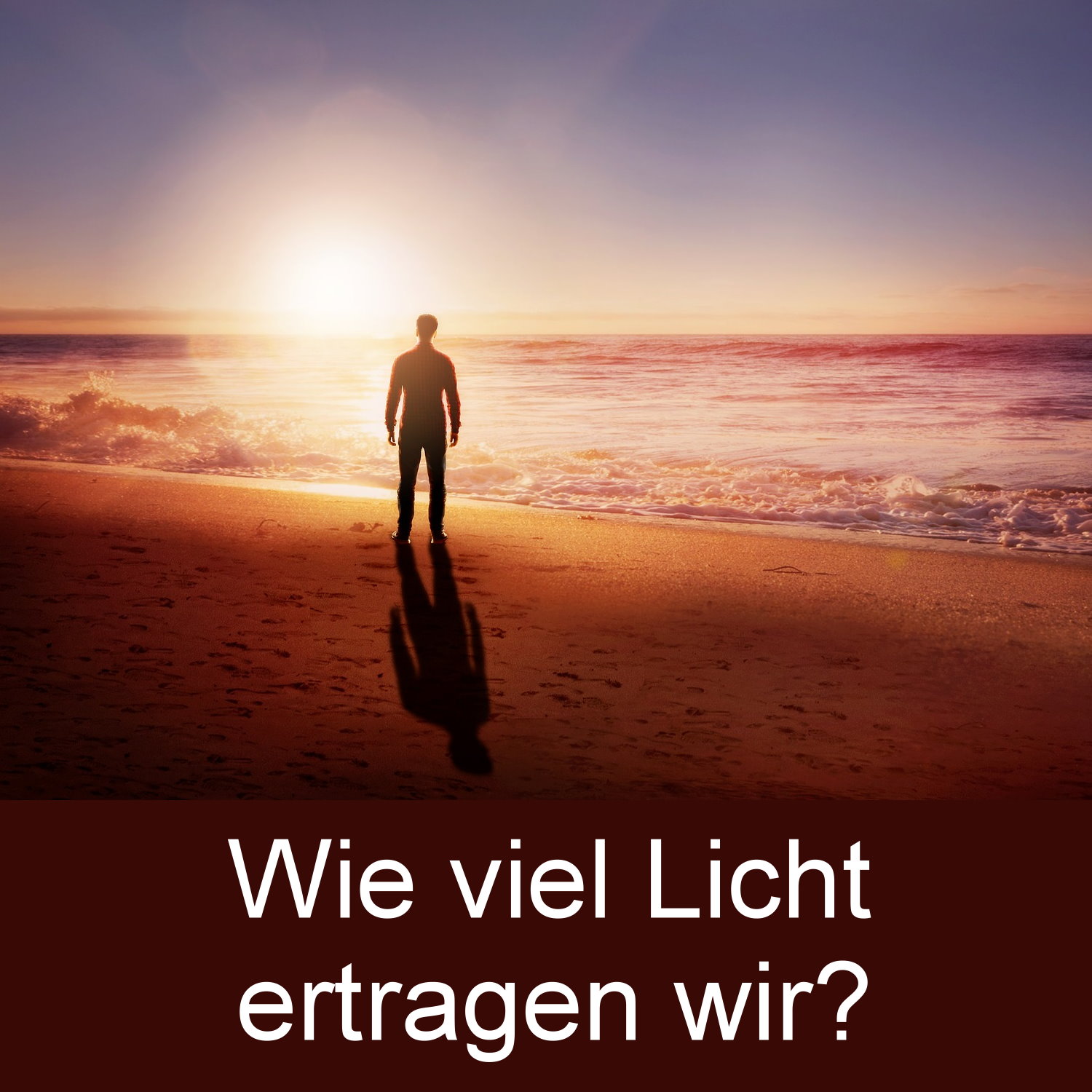 Wie viel Licht ertragen wir? episode artwork