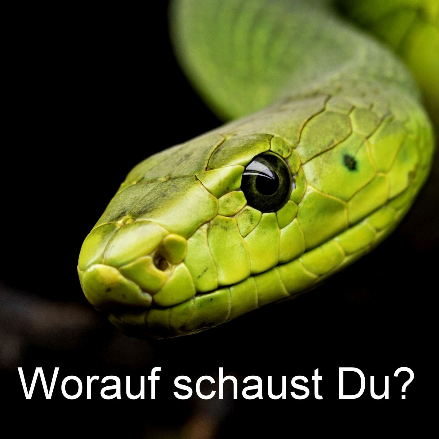 Worauf schaust Du? episode artwork