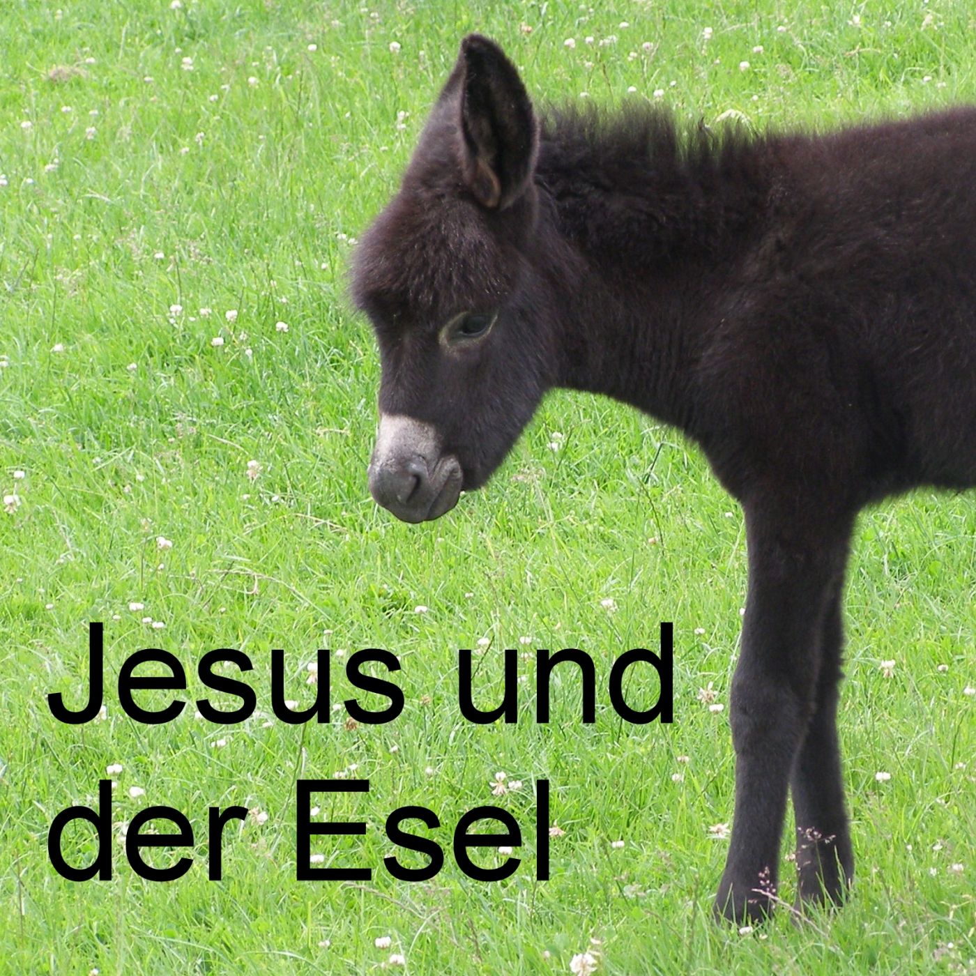 Jesus und der Esel episode artwork