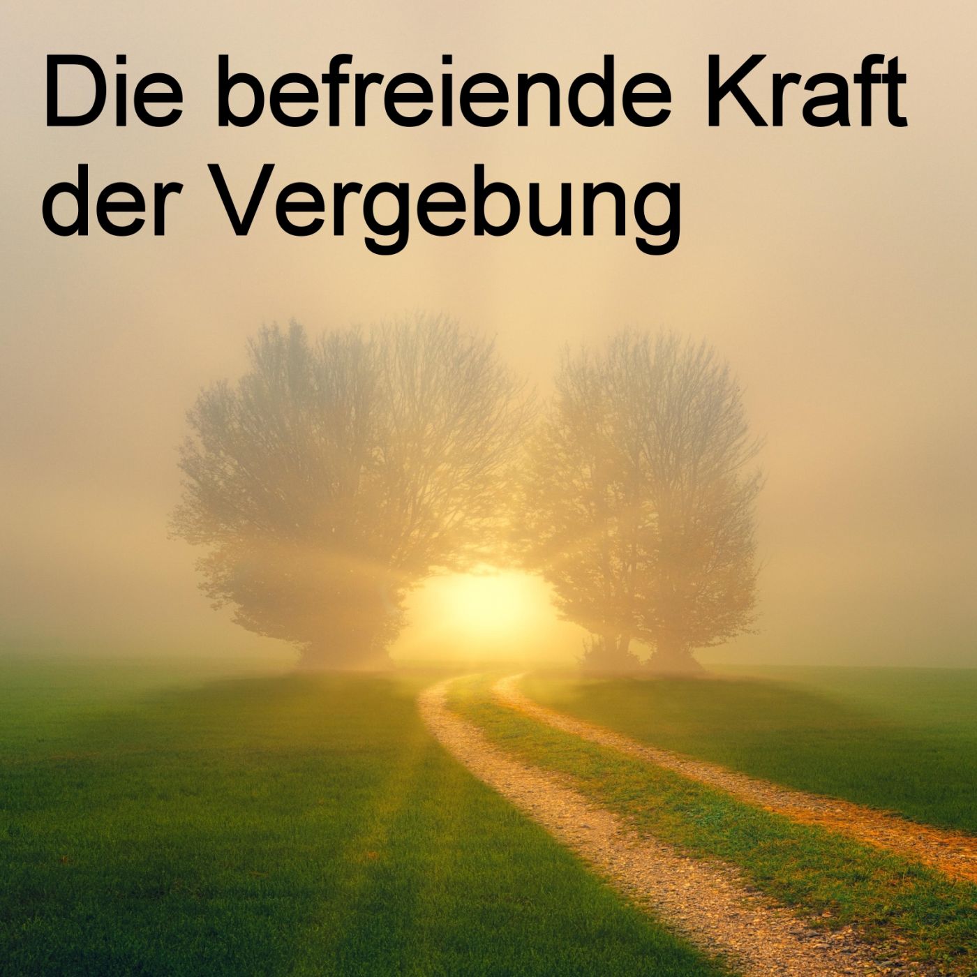Die befreiende Kraft der Vergebung episode artwork