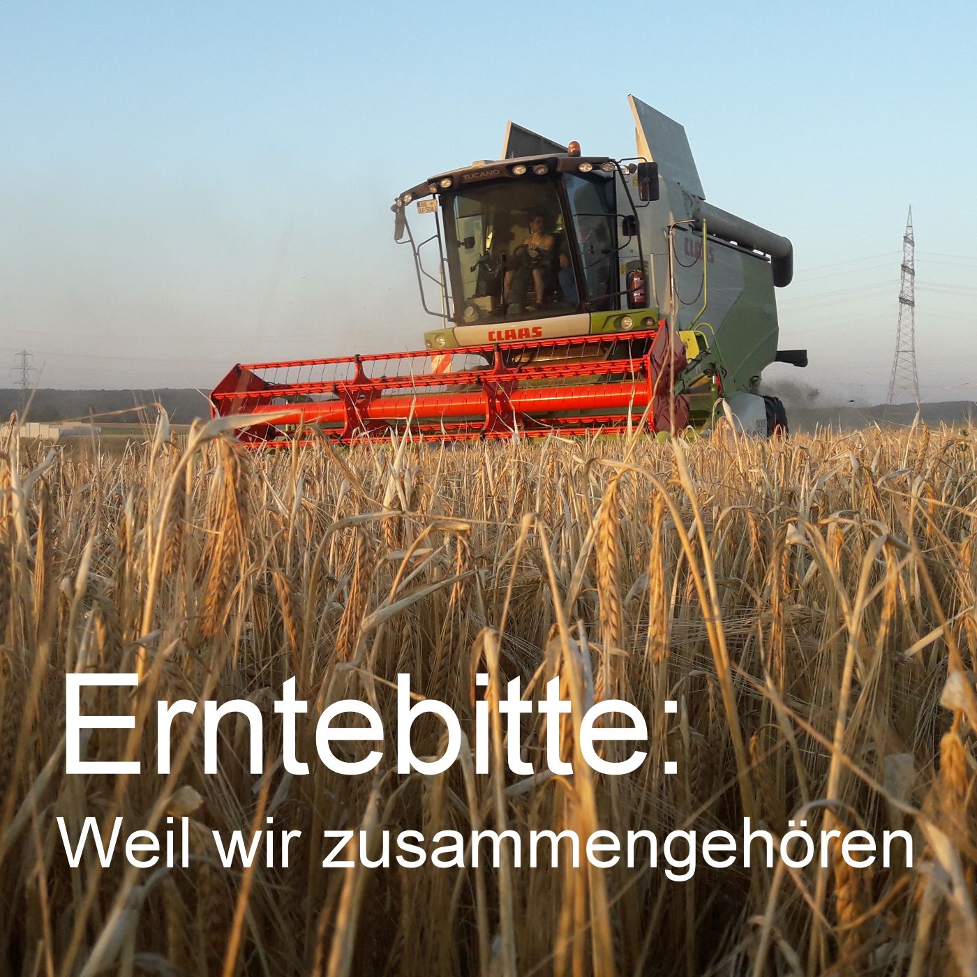 Erntebitte: Weil wir zusammengehören episode artwork
