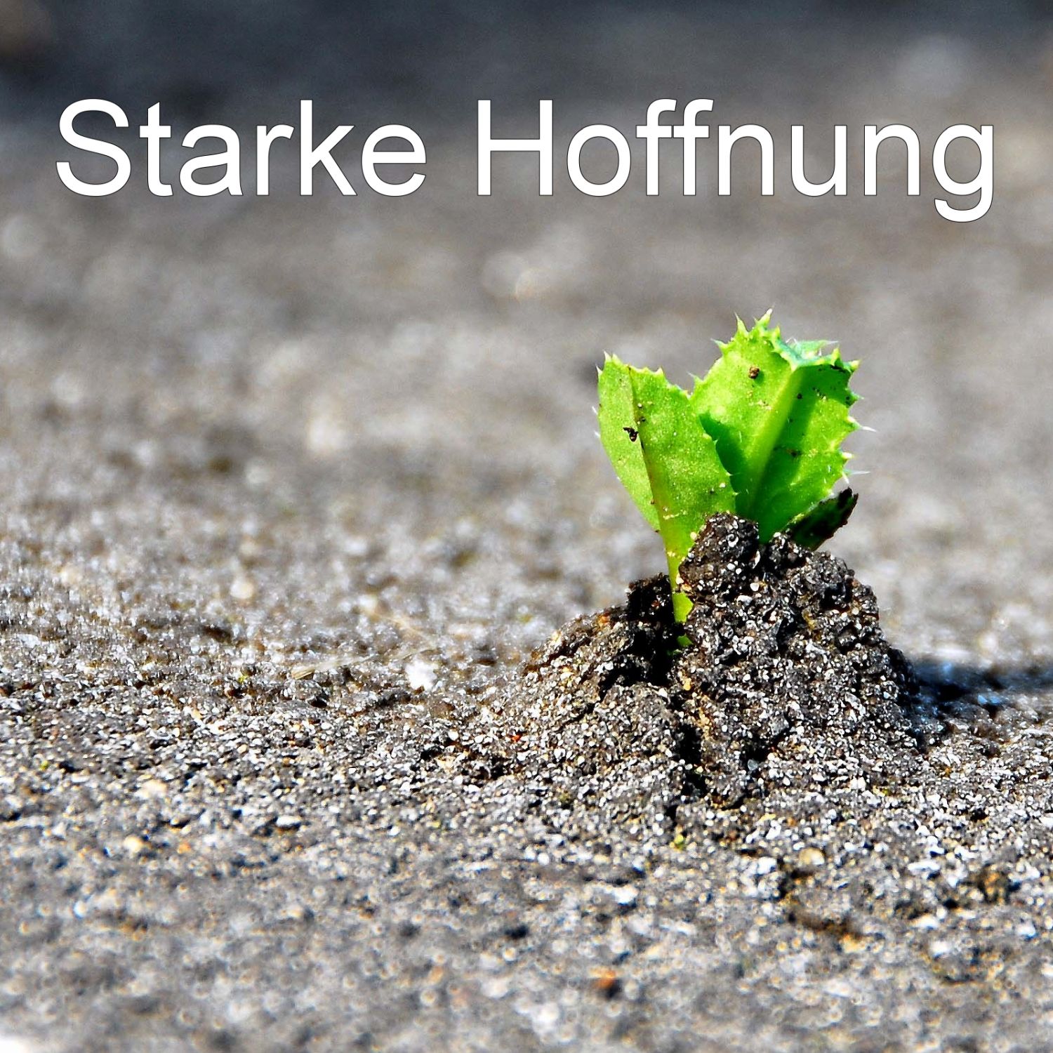 Starke Hoffnung episode artwork