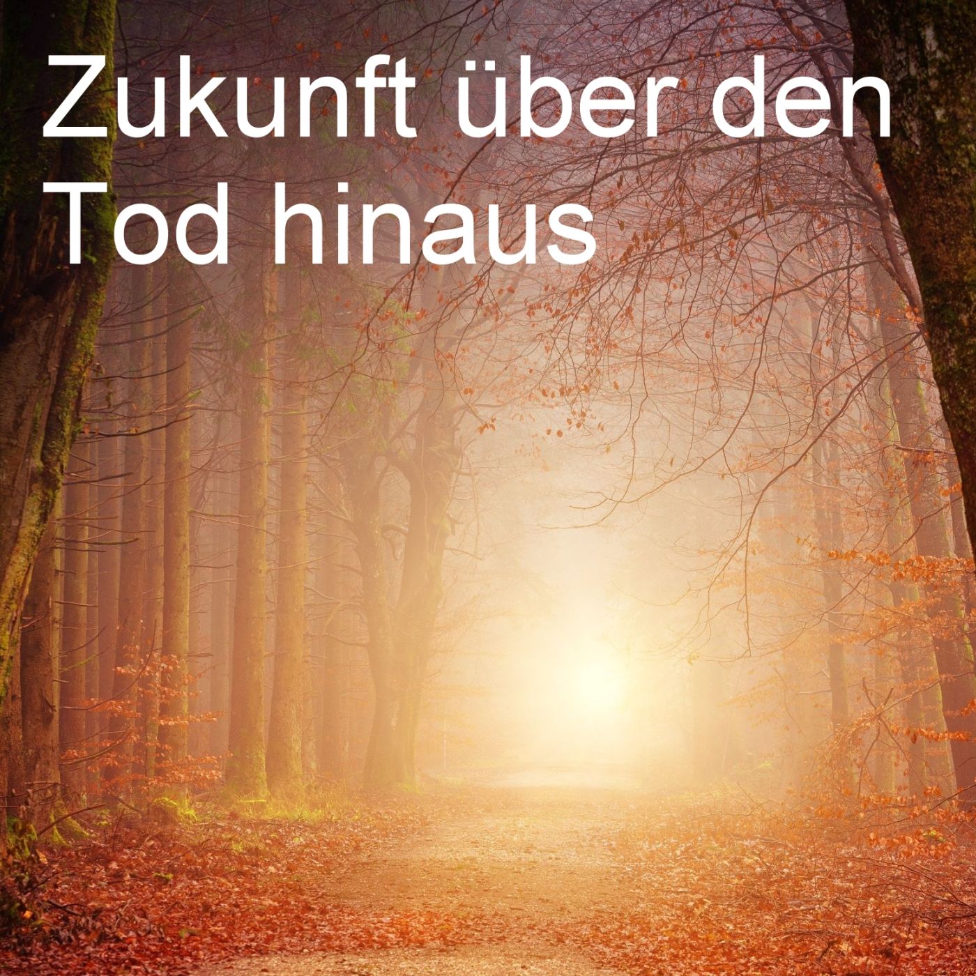 Zukunft über den Tod hinaus episode artwork