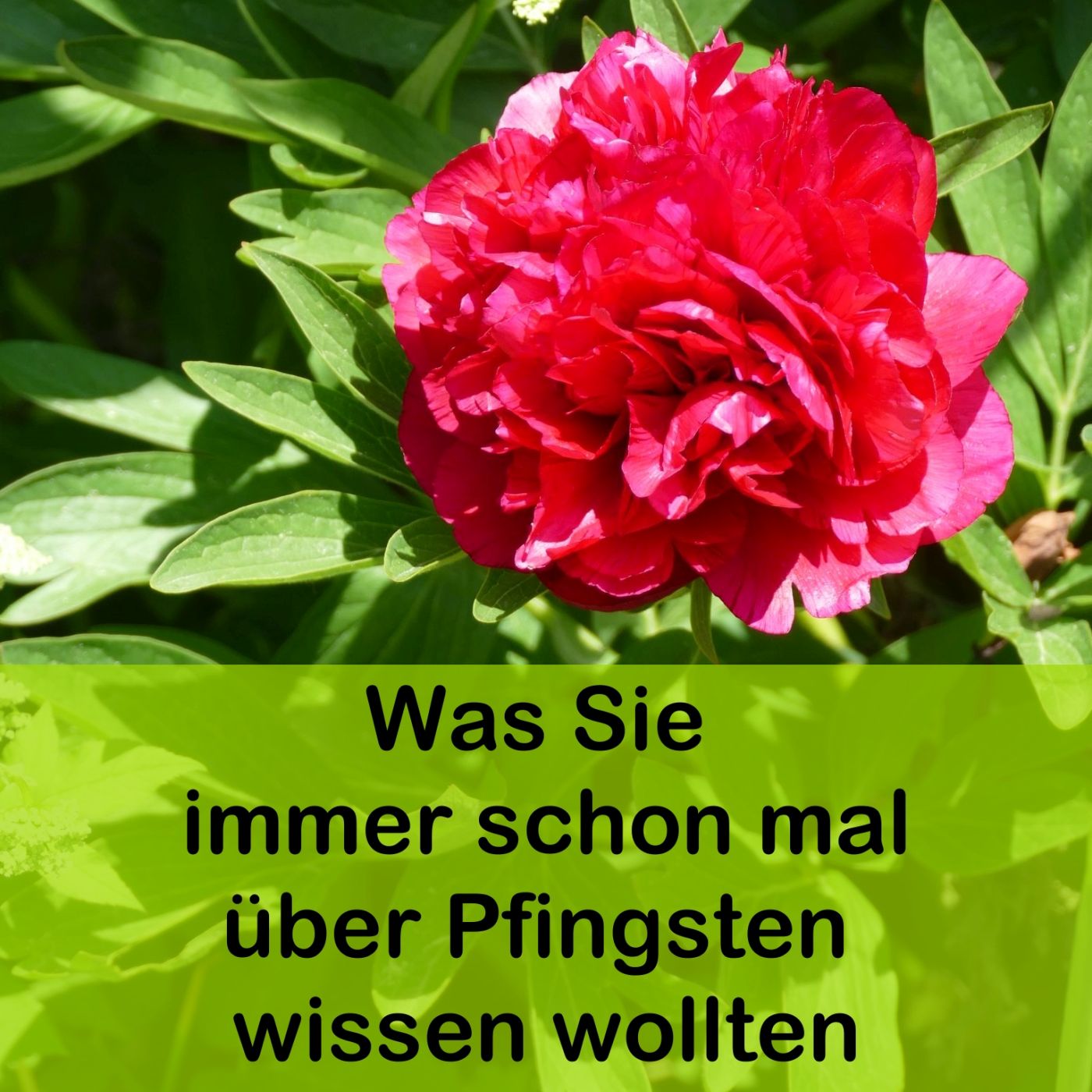 Was Sie immer schon mal über Pfingsten wissen wollten episode artwork