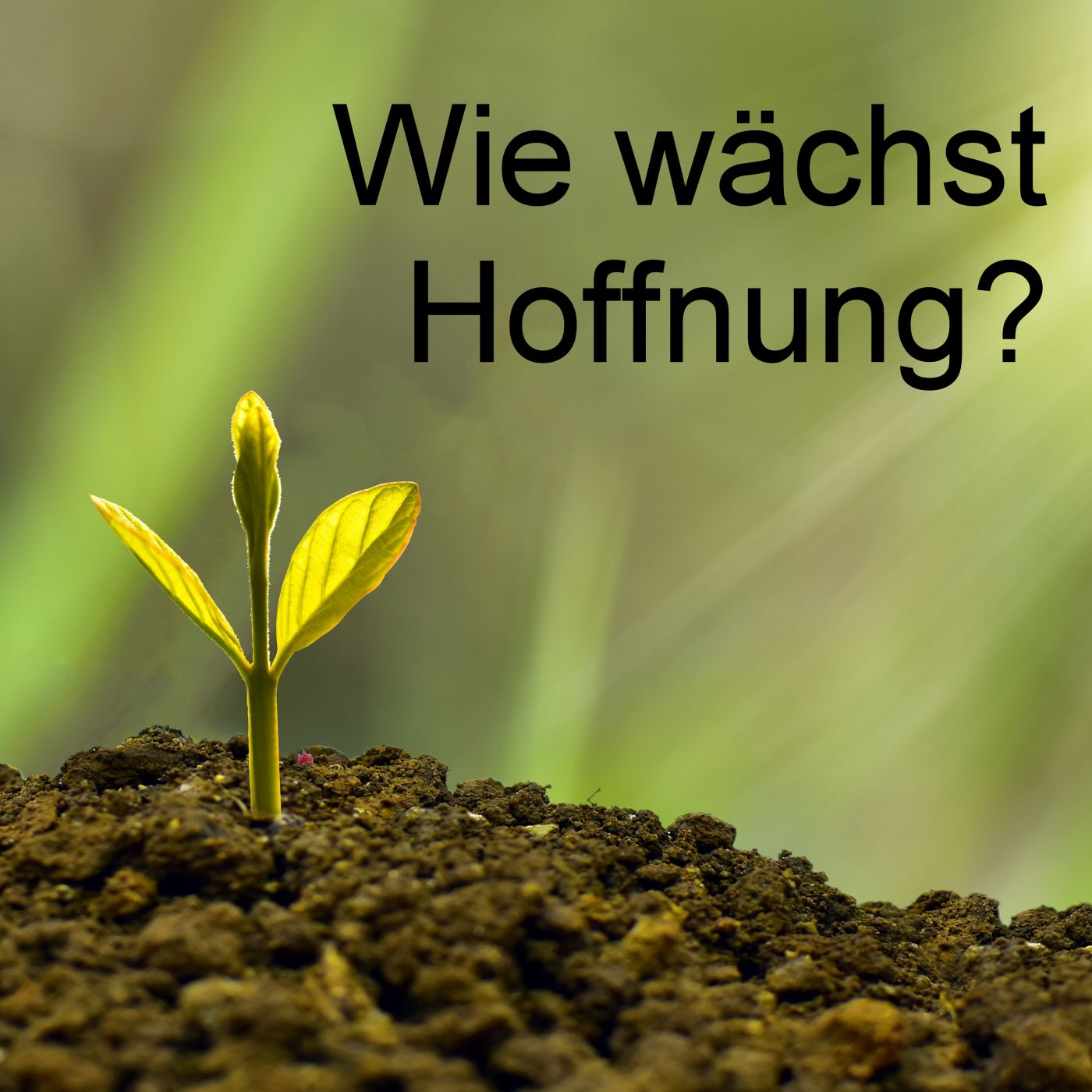 Wie wächst Hoffnung? episode artwork