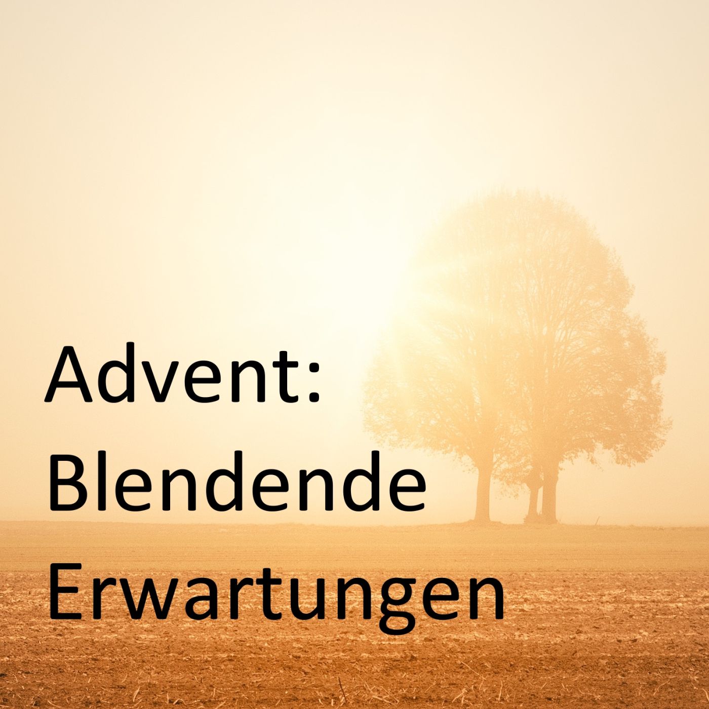 Advent: Blendende Erwartungen episode artwork
