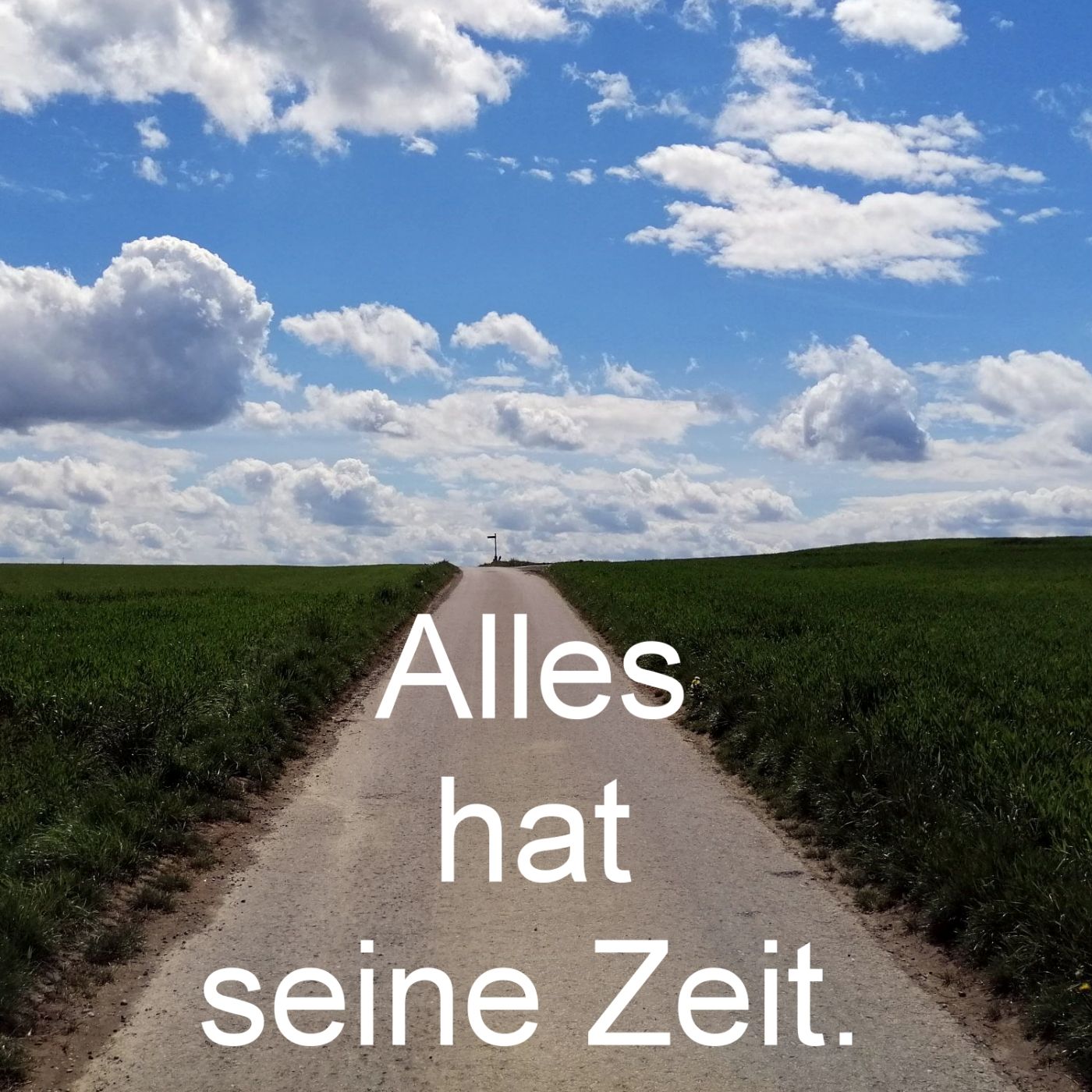 Jahreswechsel: Alles hat seine Zeit episode artwork