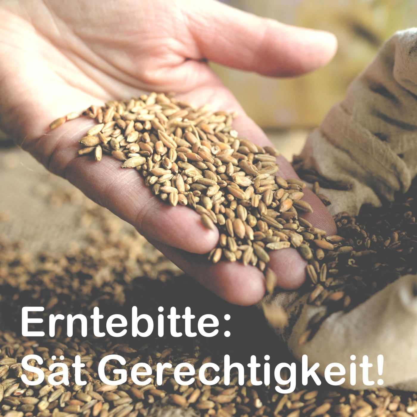 Erntebitte: Sät Gerechtigkeit! episode artwork