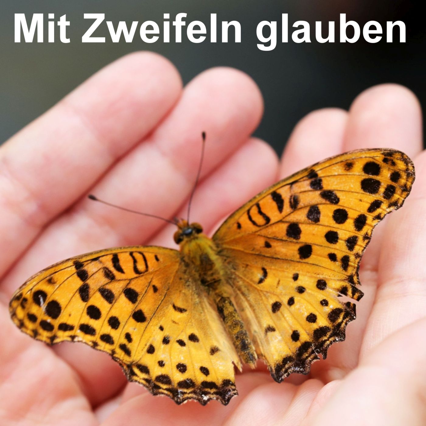 Mit Zweifeln glauben episode artwork