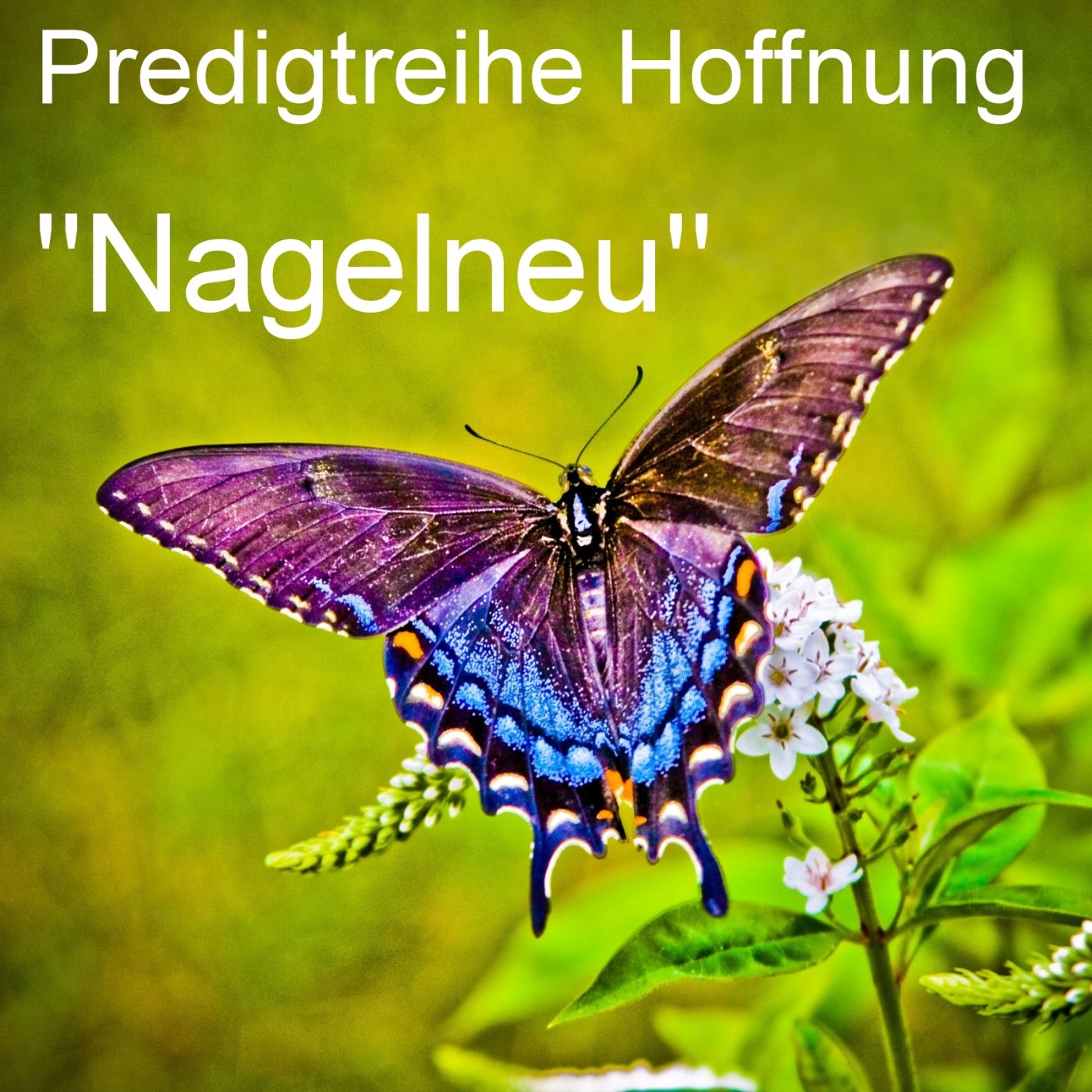 Predigtreihe "Hoffnung": Nagelneu episode artwork