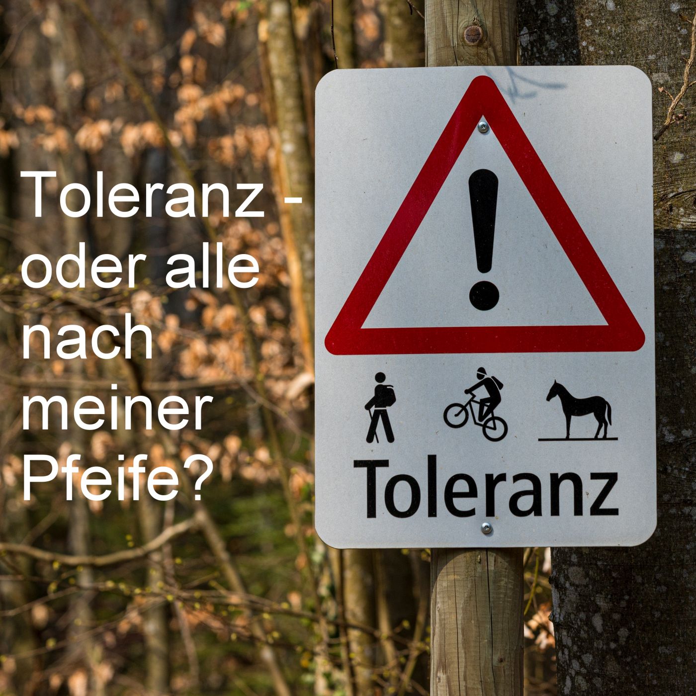 Toleranz - oder Tanz nach meiner Pfeife?
