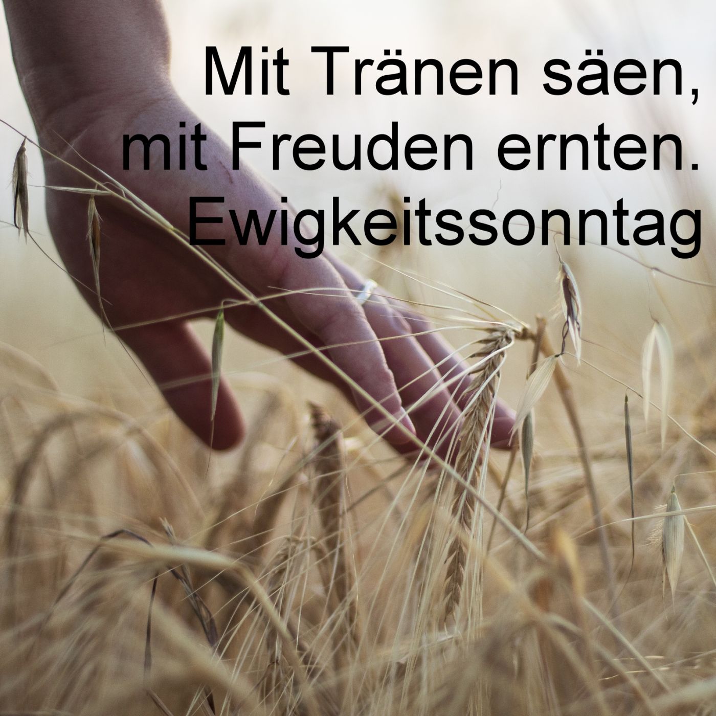 Ewigkeitssonntag: Mit Tränen säen, mit Freuden ernten episode artwork