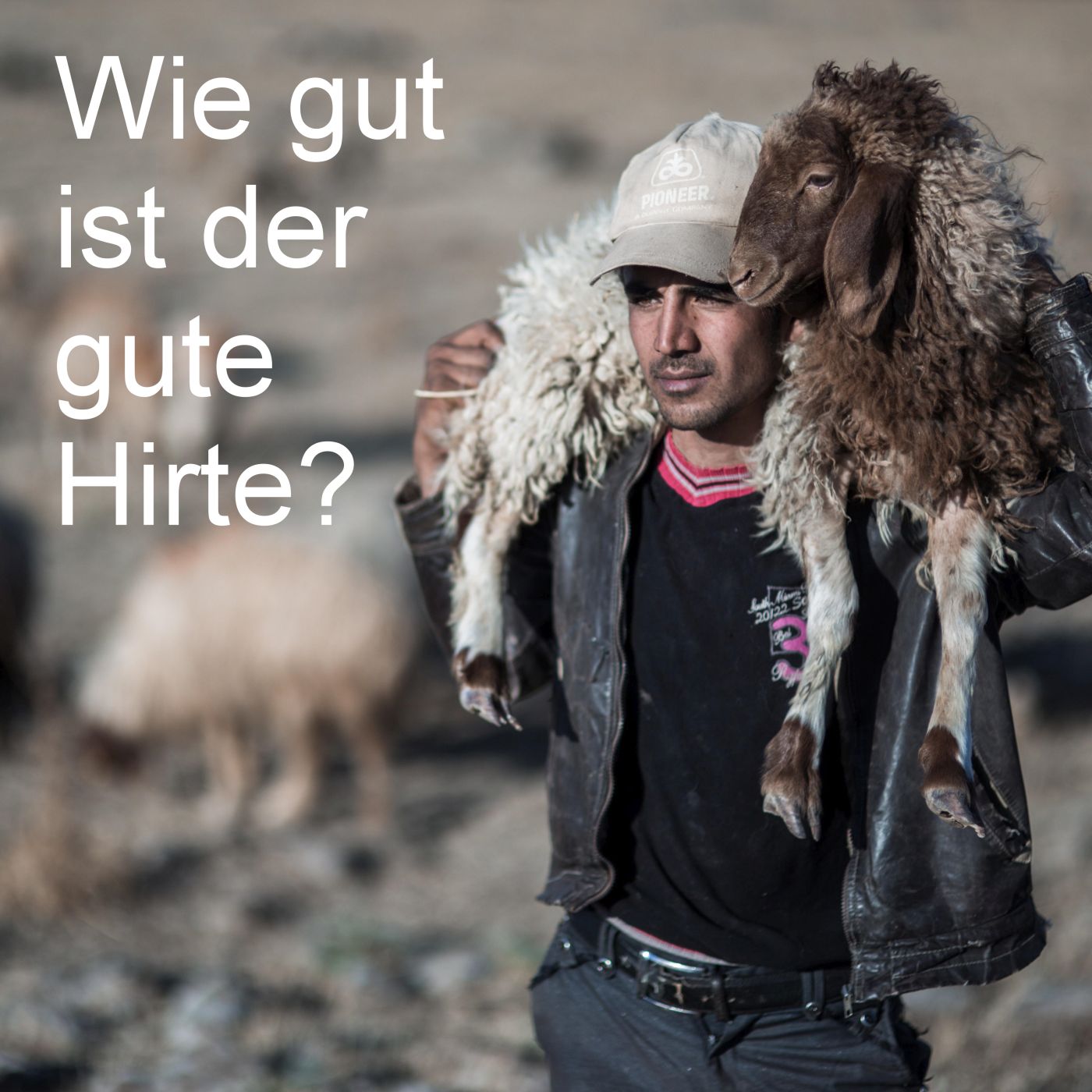Wie "gut" ist der gute Hirte? episode artwork