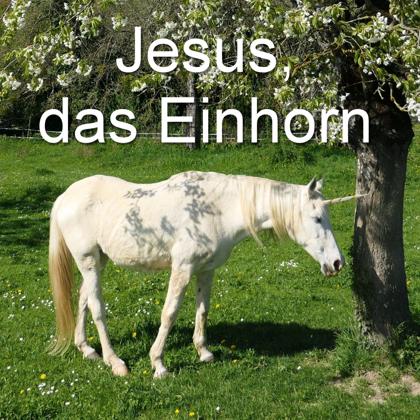 Jesus, das Einhorn episode artwork