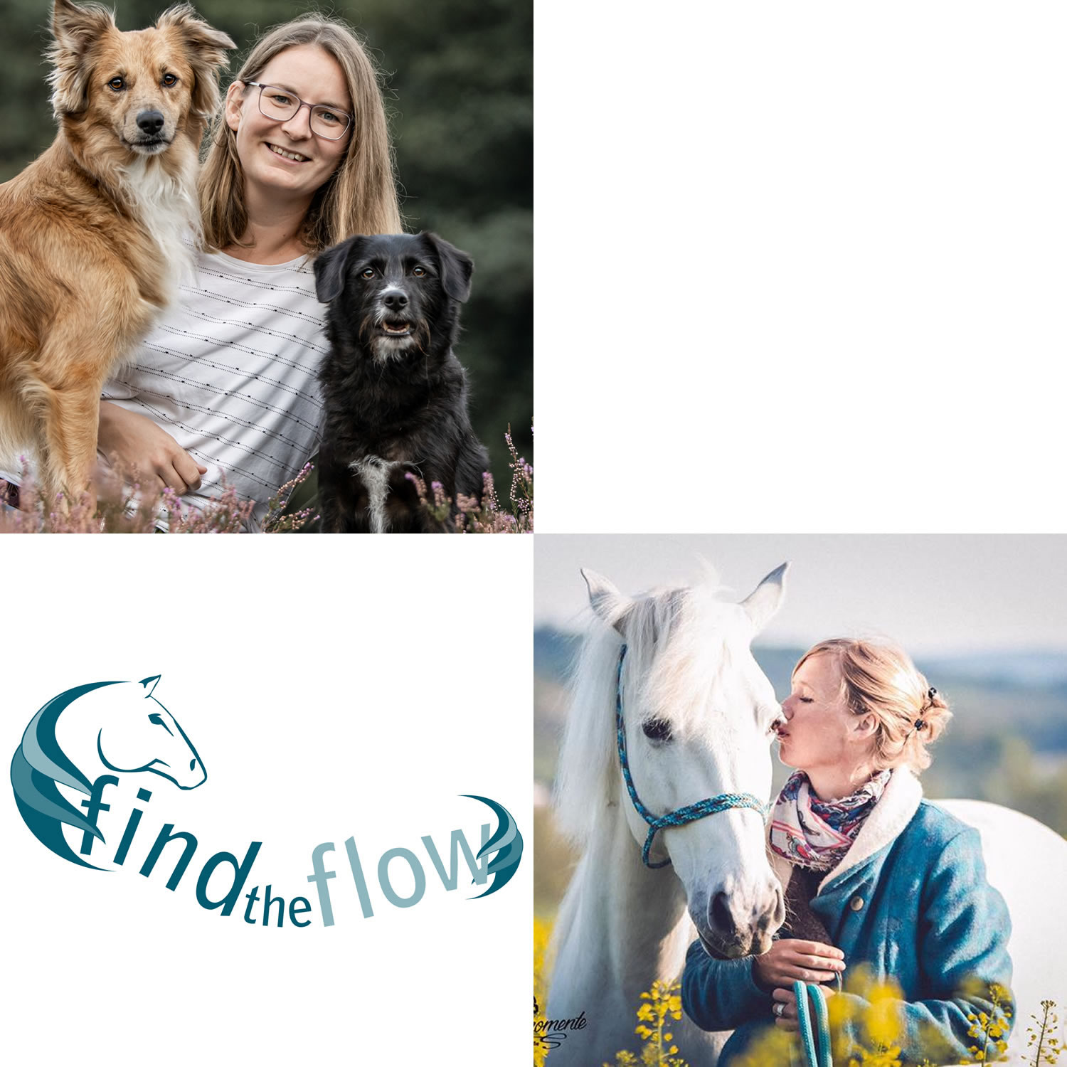 Annika Janssen - Therapie und Training