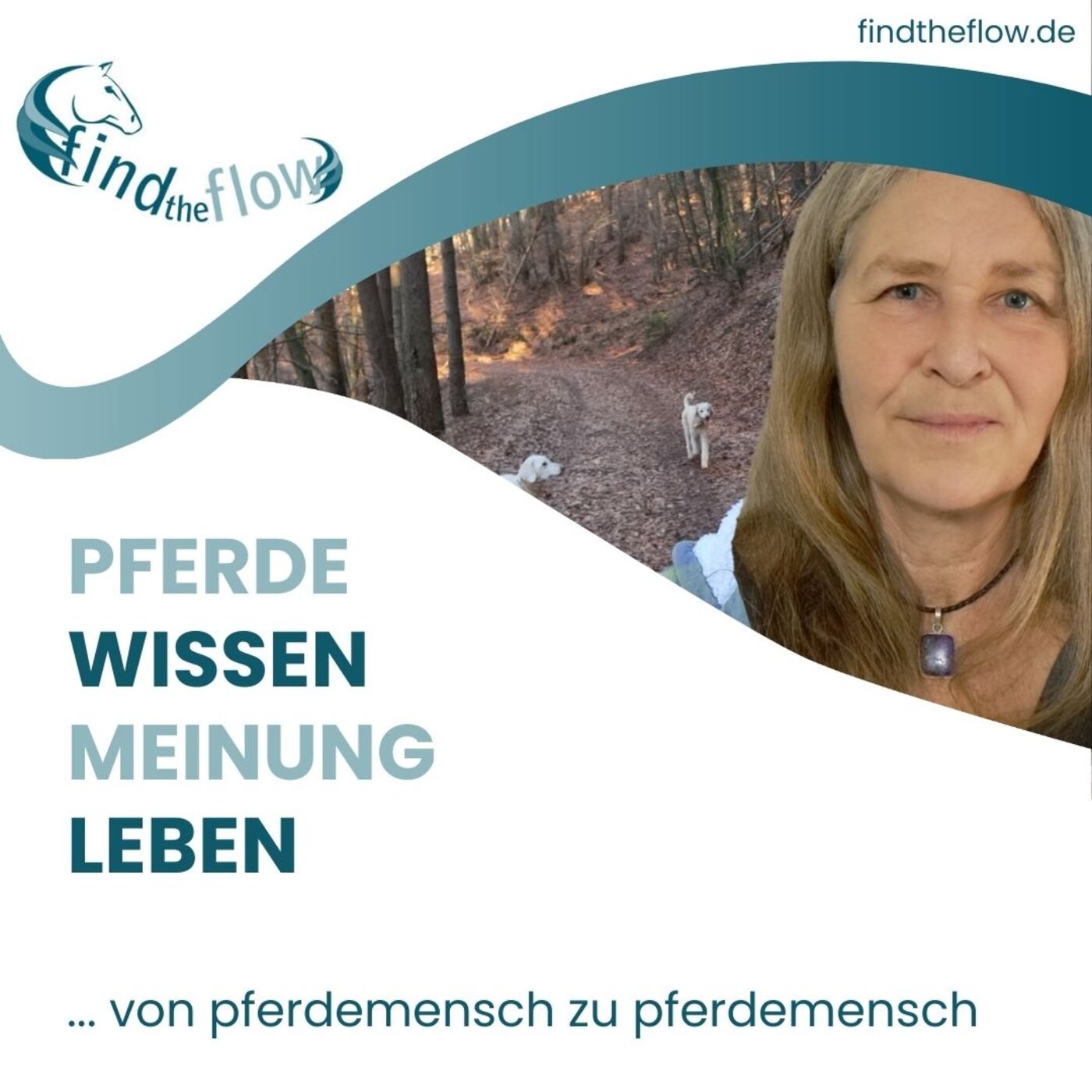 Maren Diehl - Biotensegrity