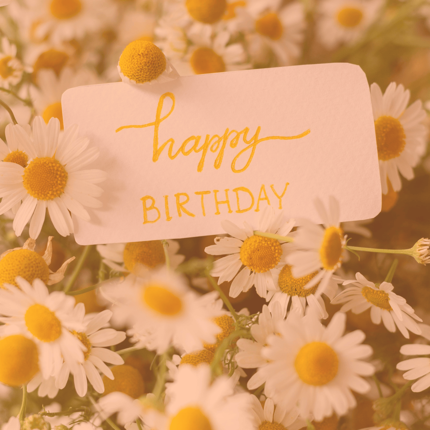 Happy Birthday! [Meditation]