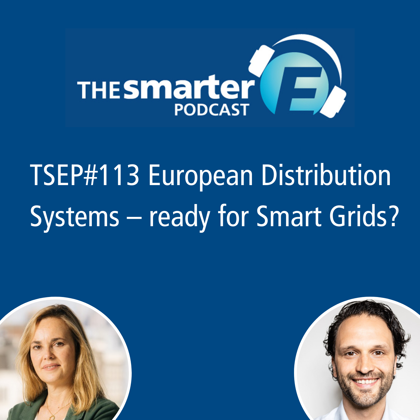 TSEP#113 European Distribution Systems – Ready for Smart Grids?