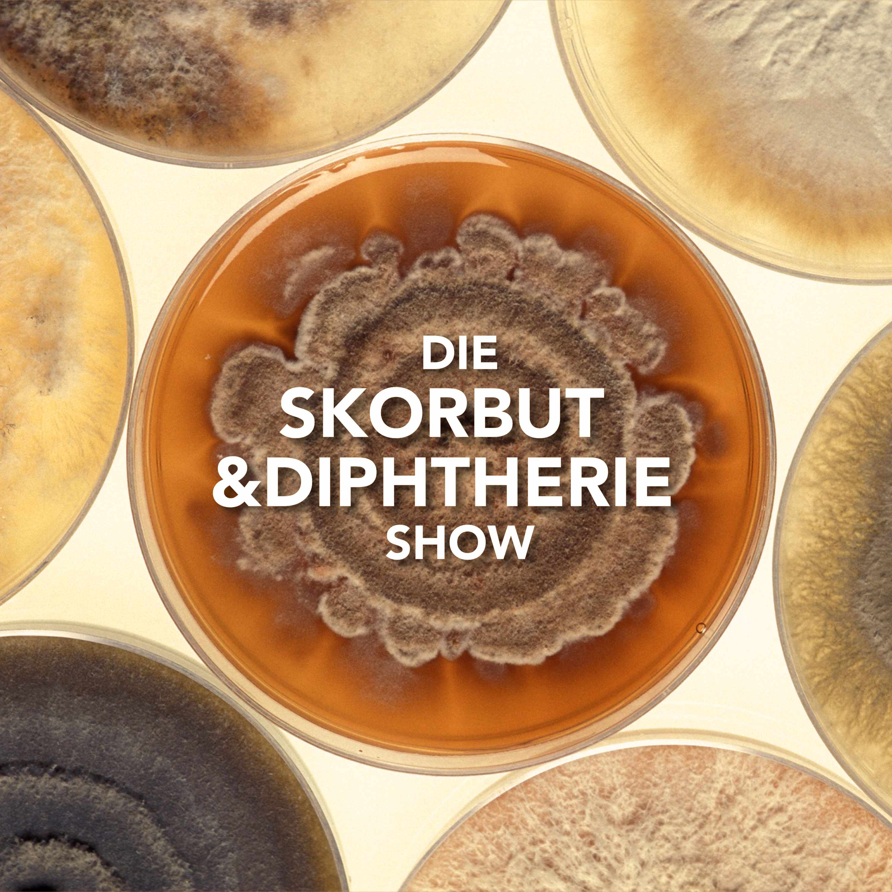 Die Skorbut und Diphtherie Show – Folge 02: Duke Nukem vs. Klaus und Klaus episode artwork