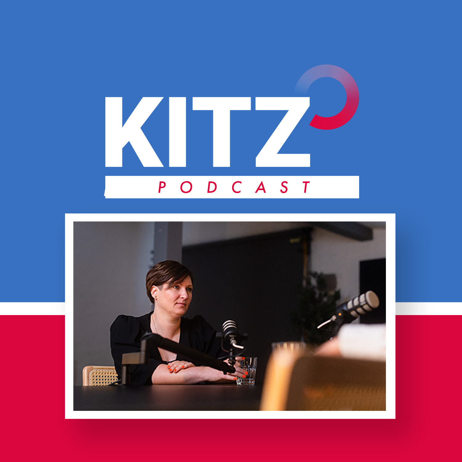 Was tut die WTSH? - Dr. Annelie Tallig im KITZ-Podcast - Folge 2 episode artwork