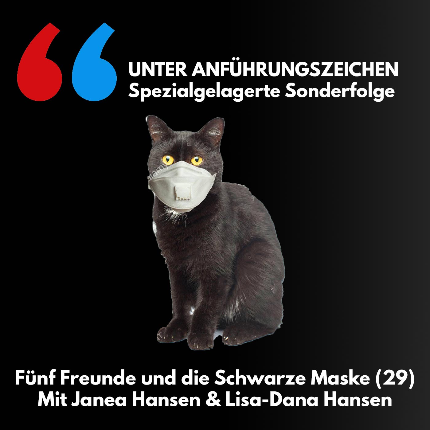 Spezialgelagerte Sonderfolge #2 - "Fünf Freunde und die Schwarze Maske (29)" (mit Lisa-Dana Hansen) episode artwork