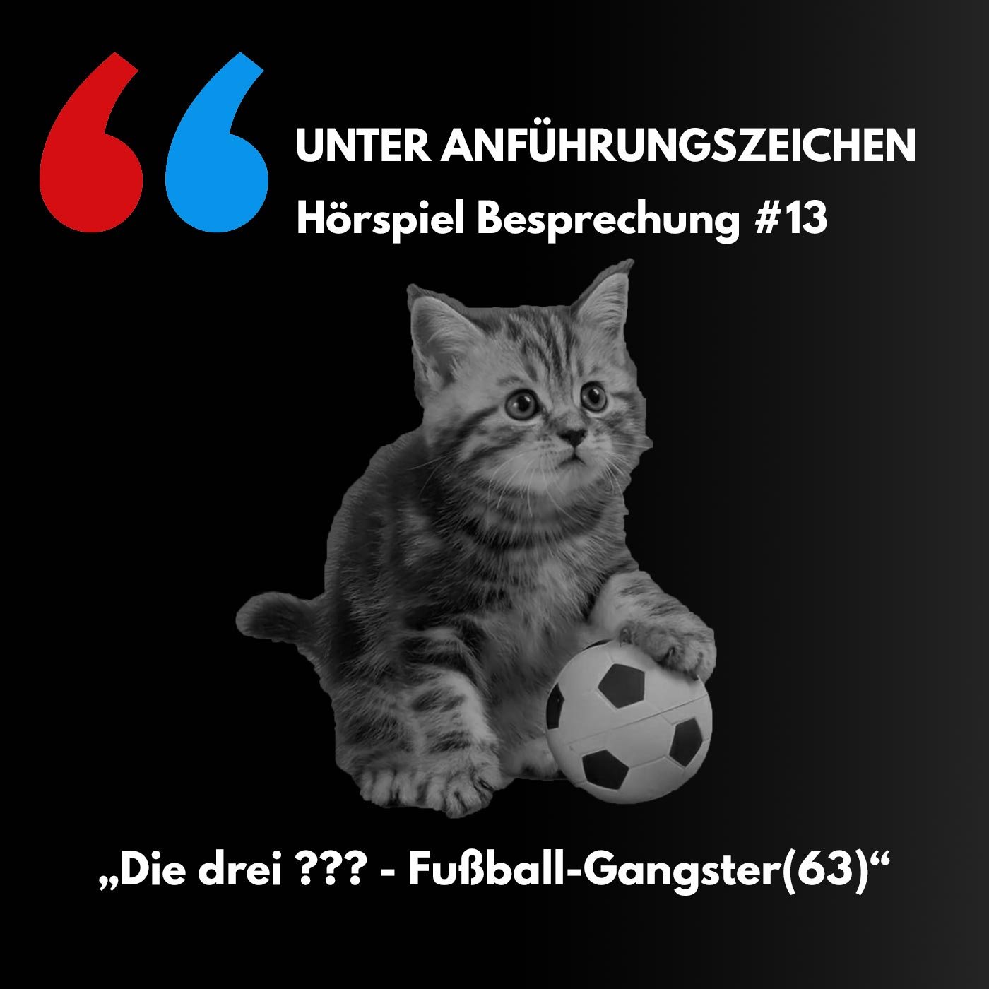 Unter Anführungszeichen #13: Die drei ??? - Fußball-Gangster (63) episode artwork