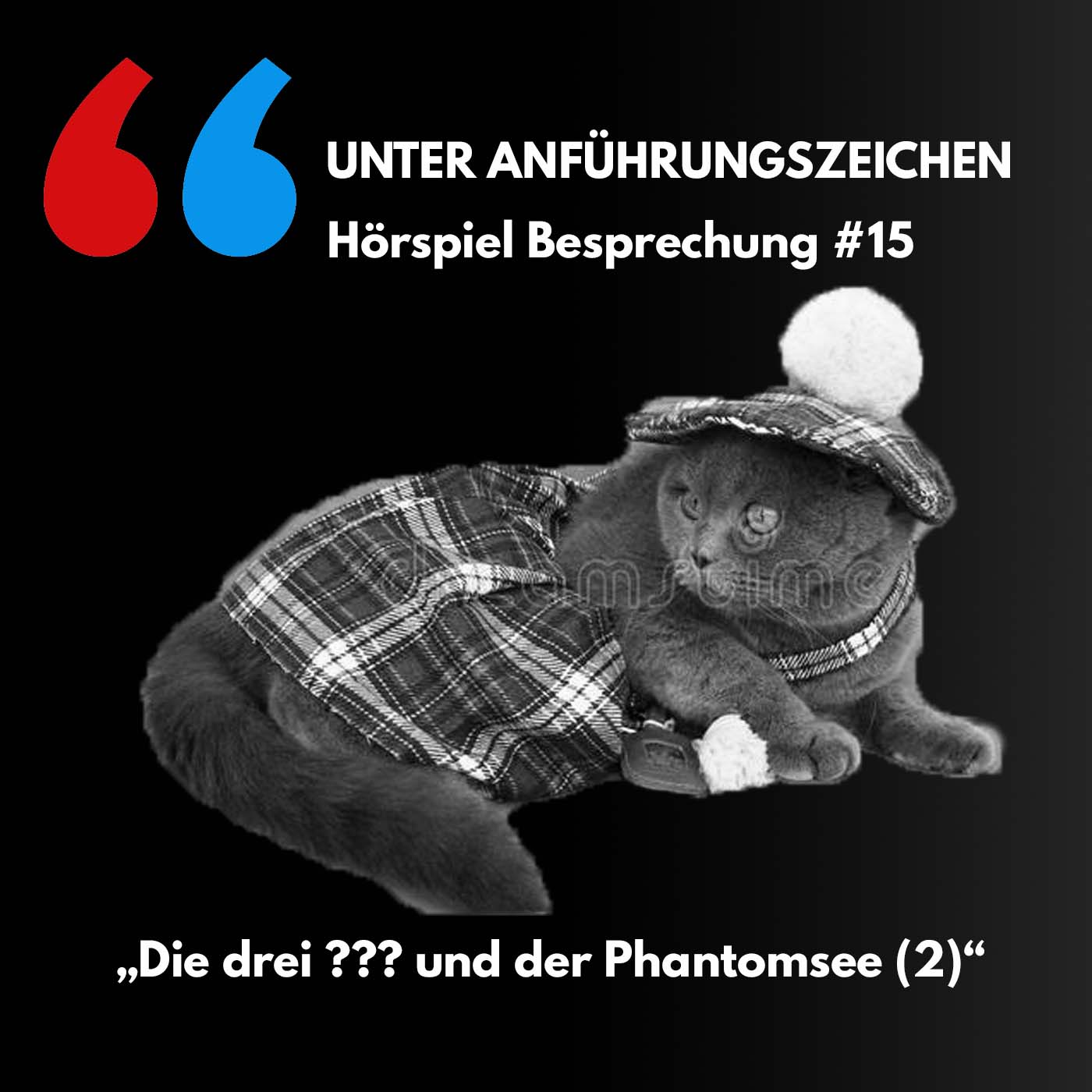 Unter Anführungszeichen #15: Die drei ??? und der Phantomsee (2) episode artwork