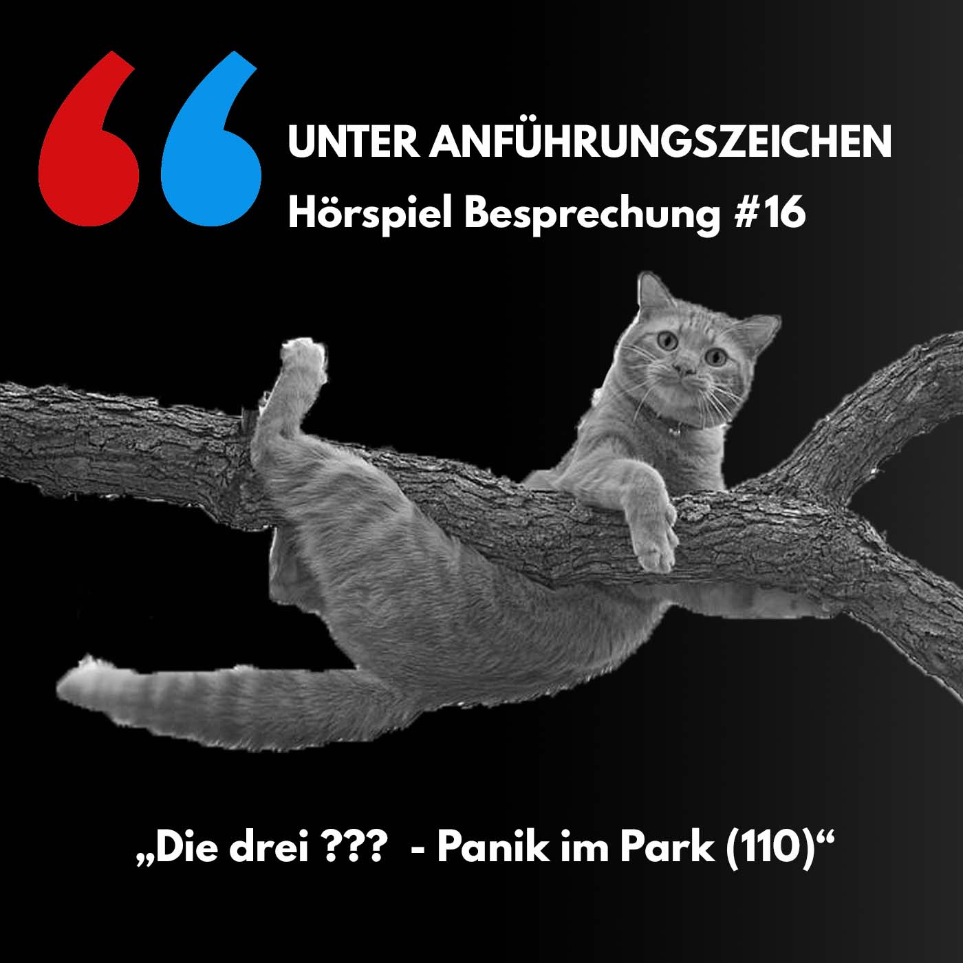 Unter Anführungszeichen #16: Die drei ??? - Panik im Park (110) episode artwork