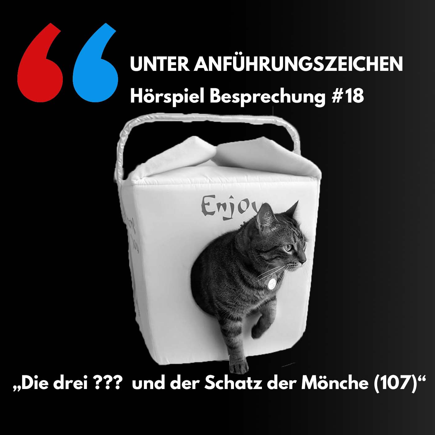 Unter Anführungszeichen #18: Die drei ??? und der Schatz der Mönche (107) episode artwork