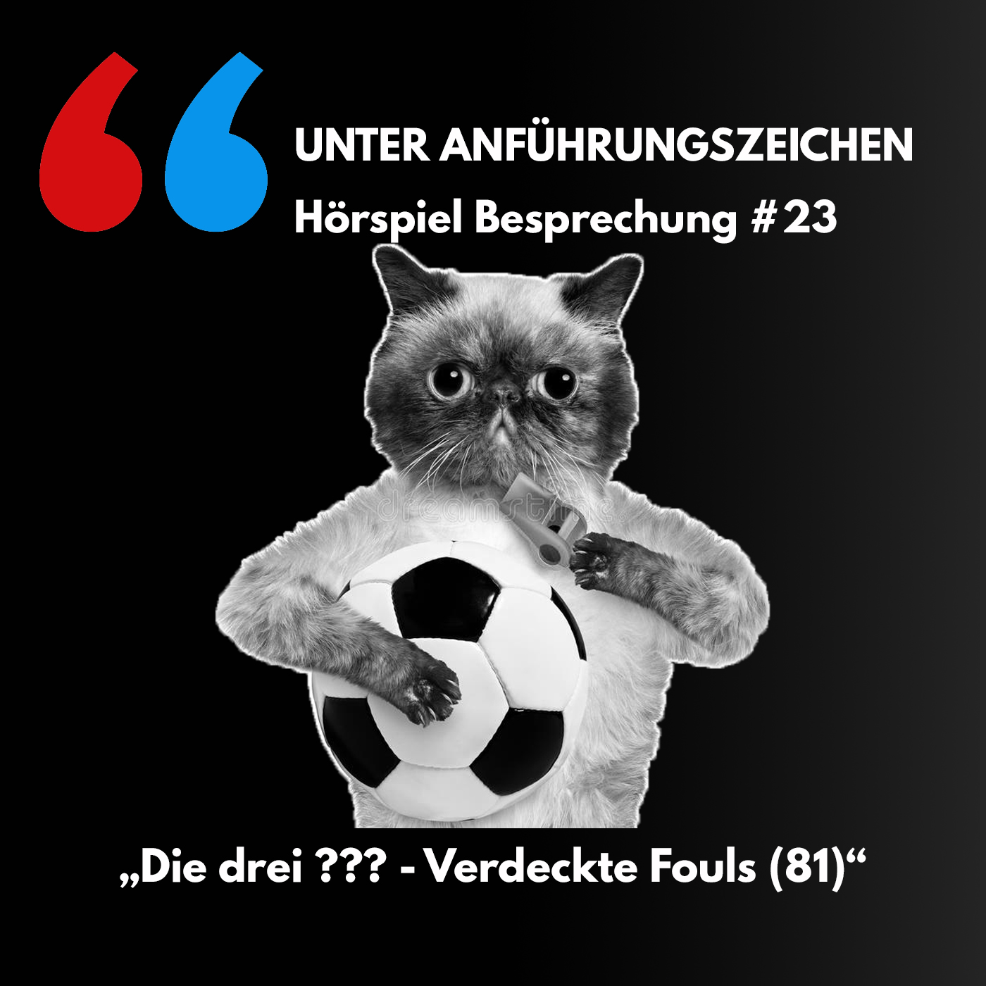 Unter Anführungszeichen #23: Die drei ??? - Verdeckte Fouls (81) episode artwork