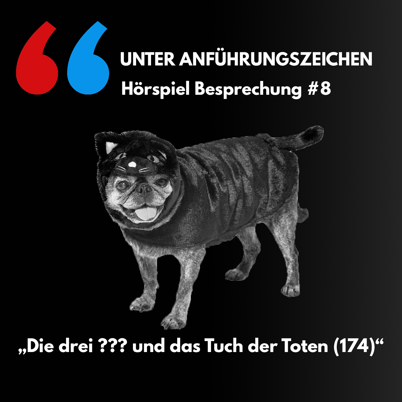 Unter Anführungszeichen #8: Die drei ??? und das Tuch der Toten (174) episode artwork