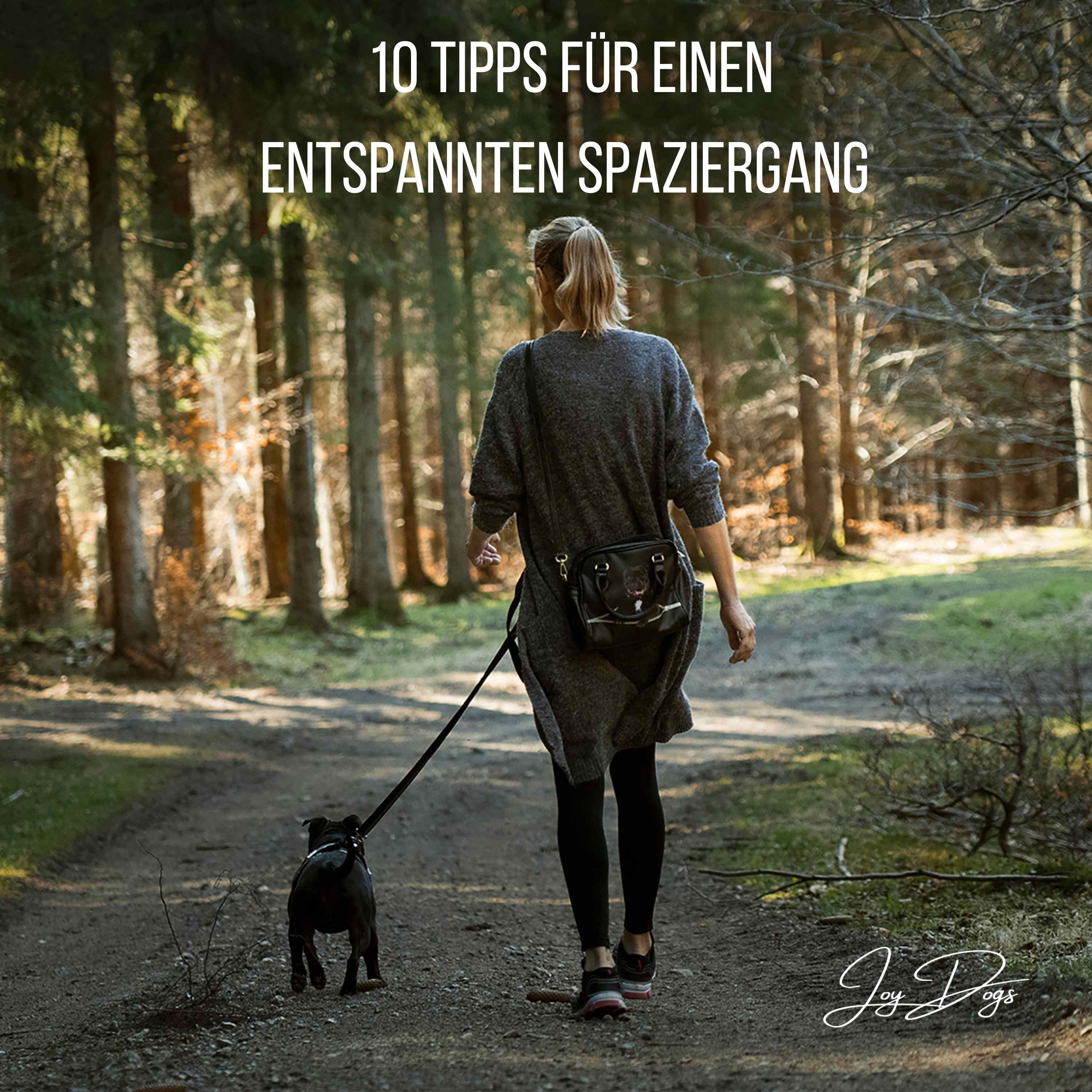 10 Tipps für einen entspannten Spaziergang episode artwork