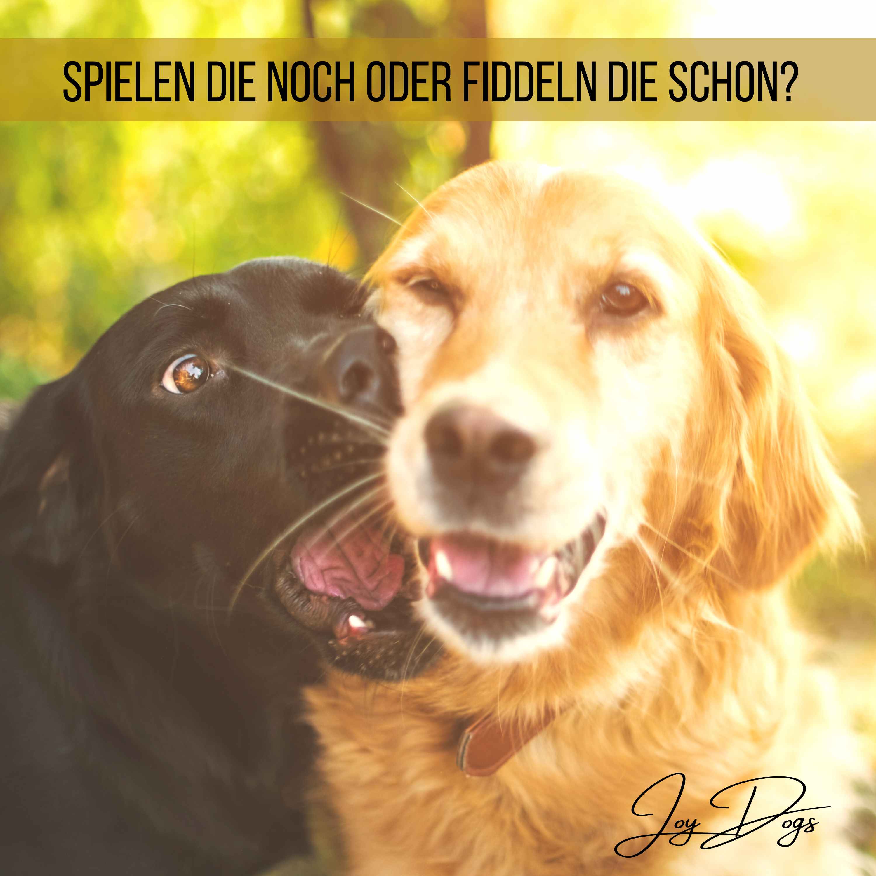 Spielen die noch oder fiddeln die schon? episode artwork