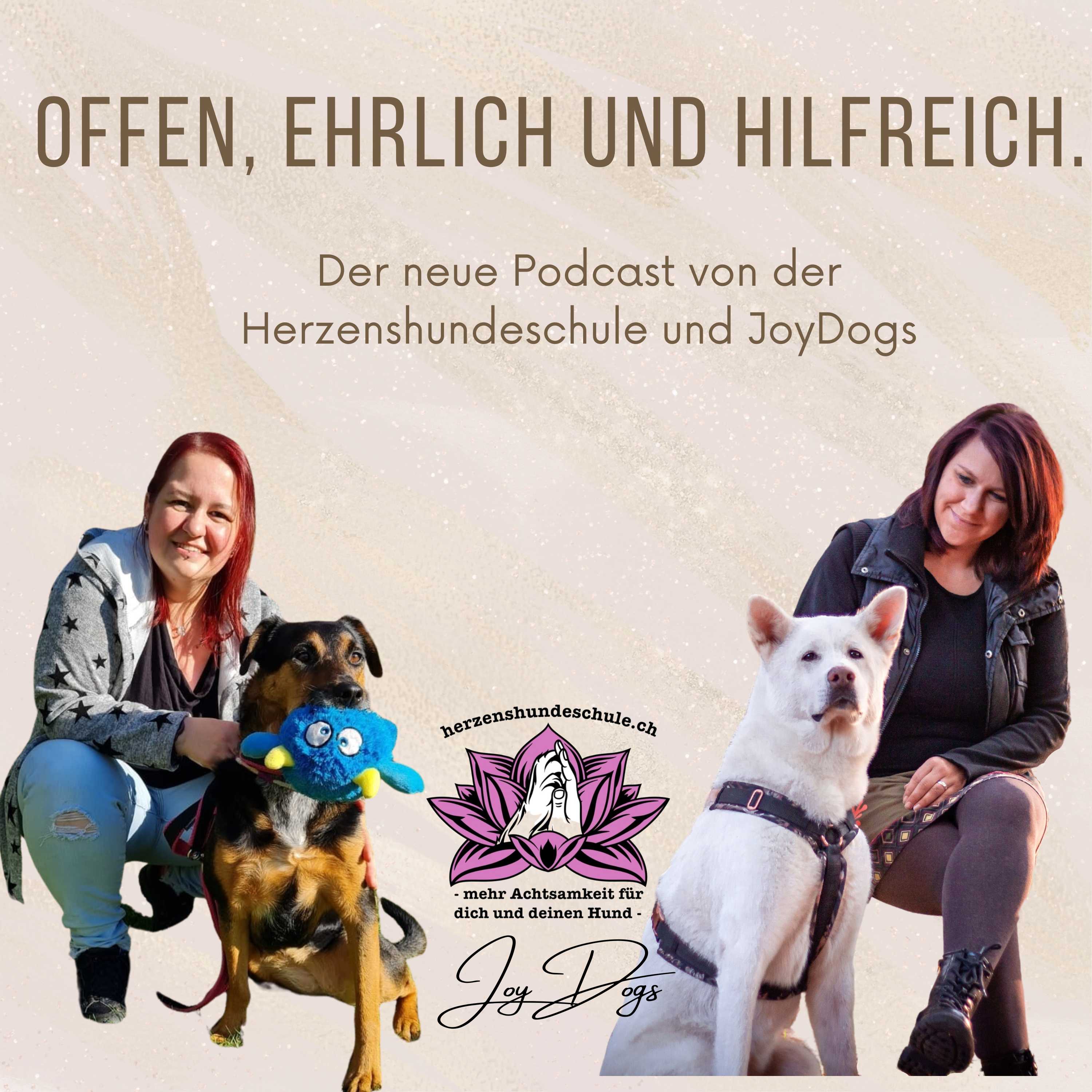 Weshalb es keinen Sinn ergibt, in eine Flasche zu pinkeln, um Rudelführer zu sein episode artwork