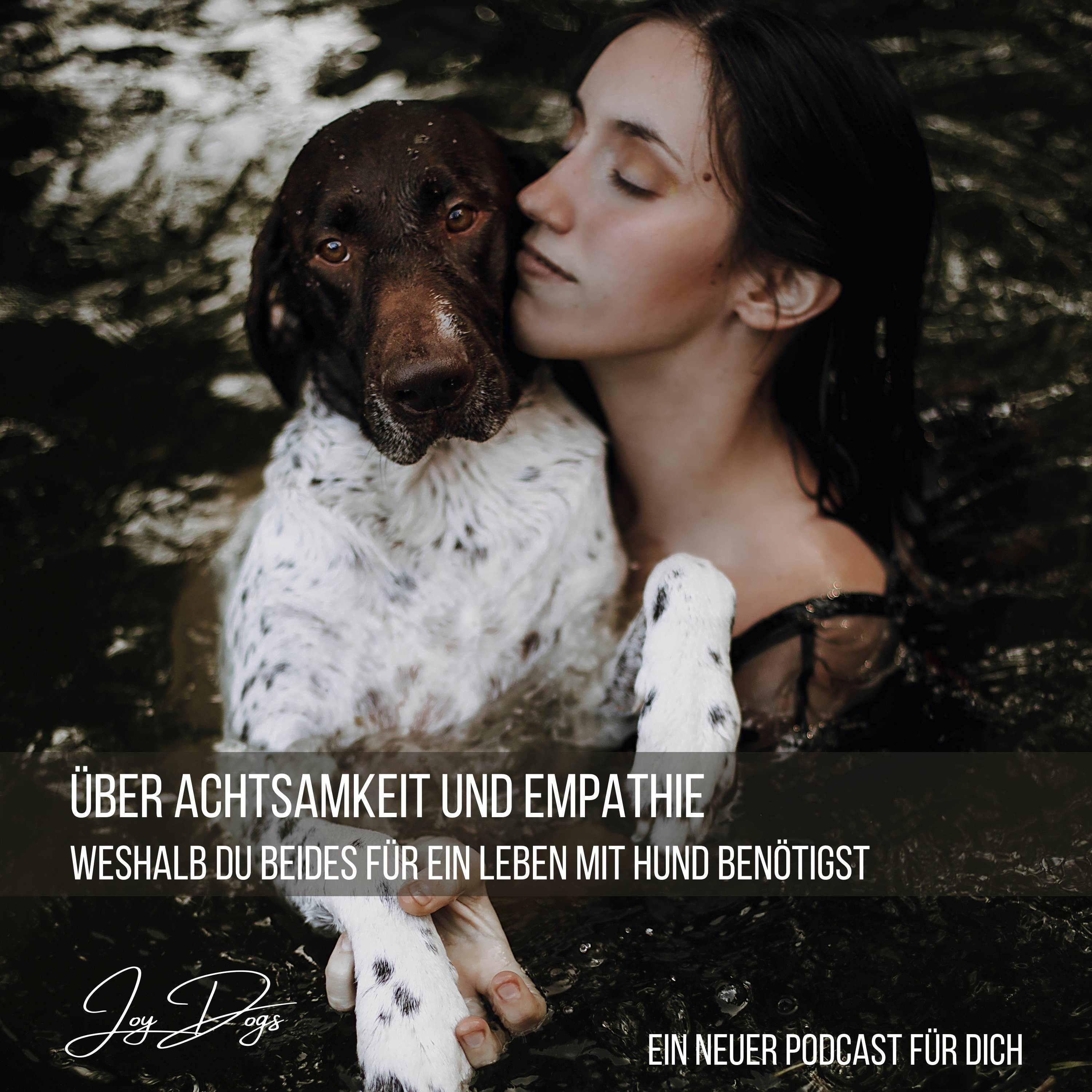 Über Achtsamkeit und Empathie - Weshalb beides wichtig für das Zusammenleben mit deinem Hund ist episode artwork