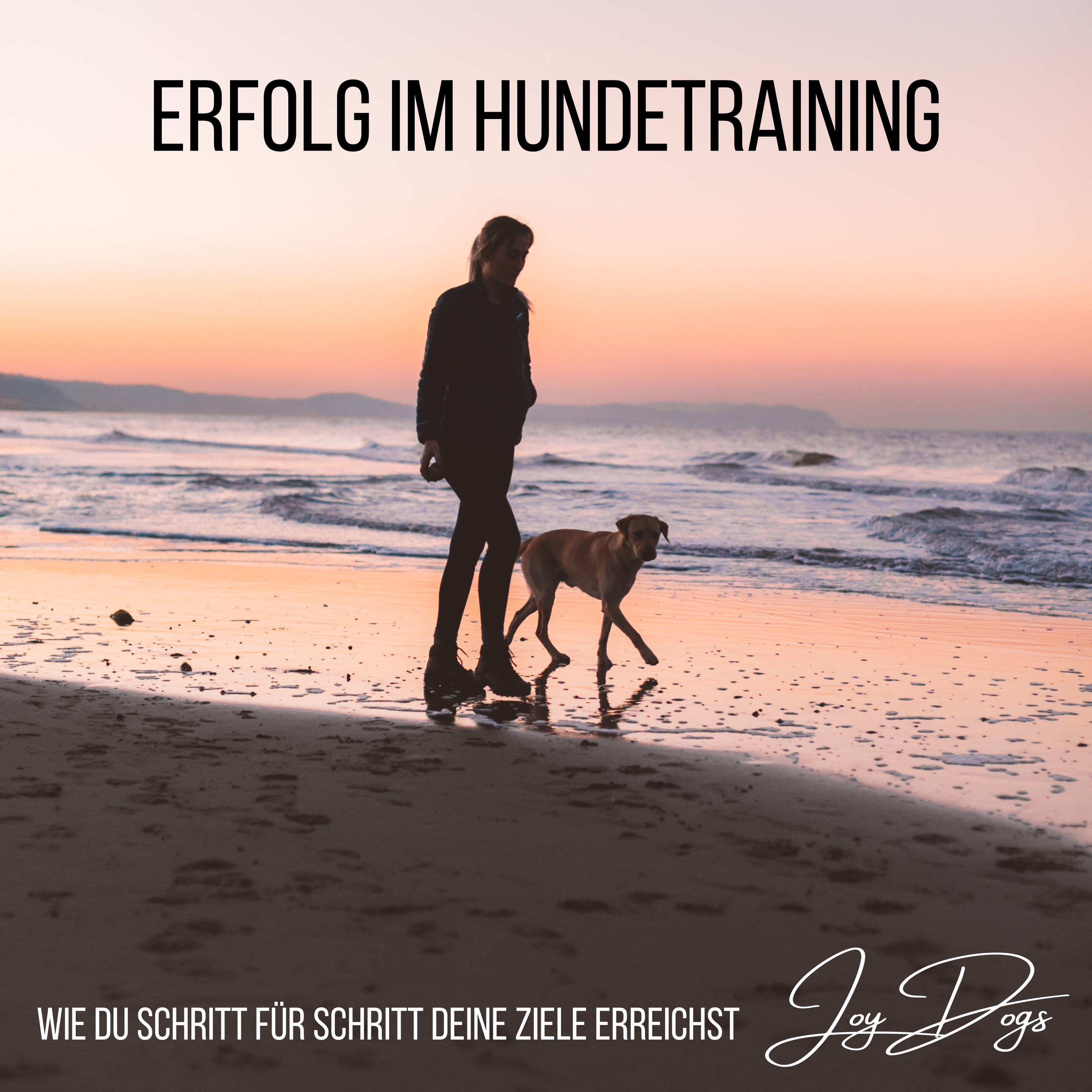 Erfolg im Hundetraining episode artwork