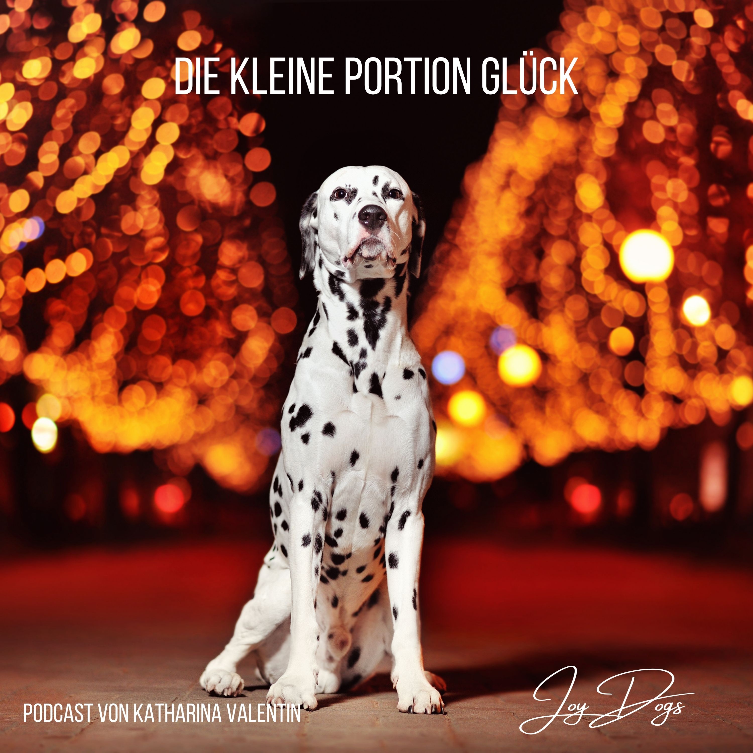 Die kleine Portion Glück episode artwork