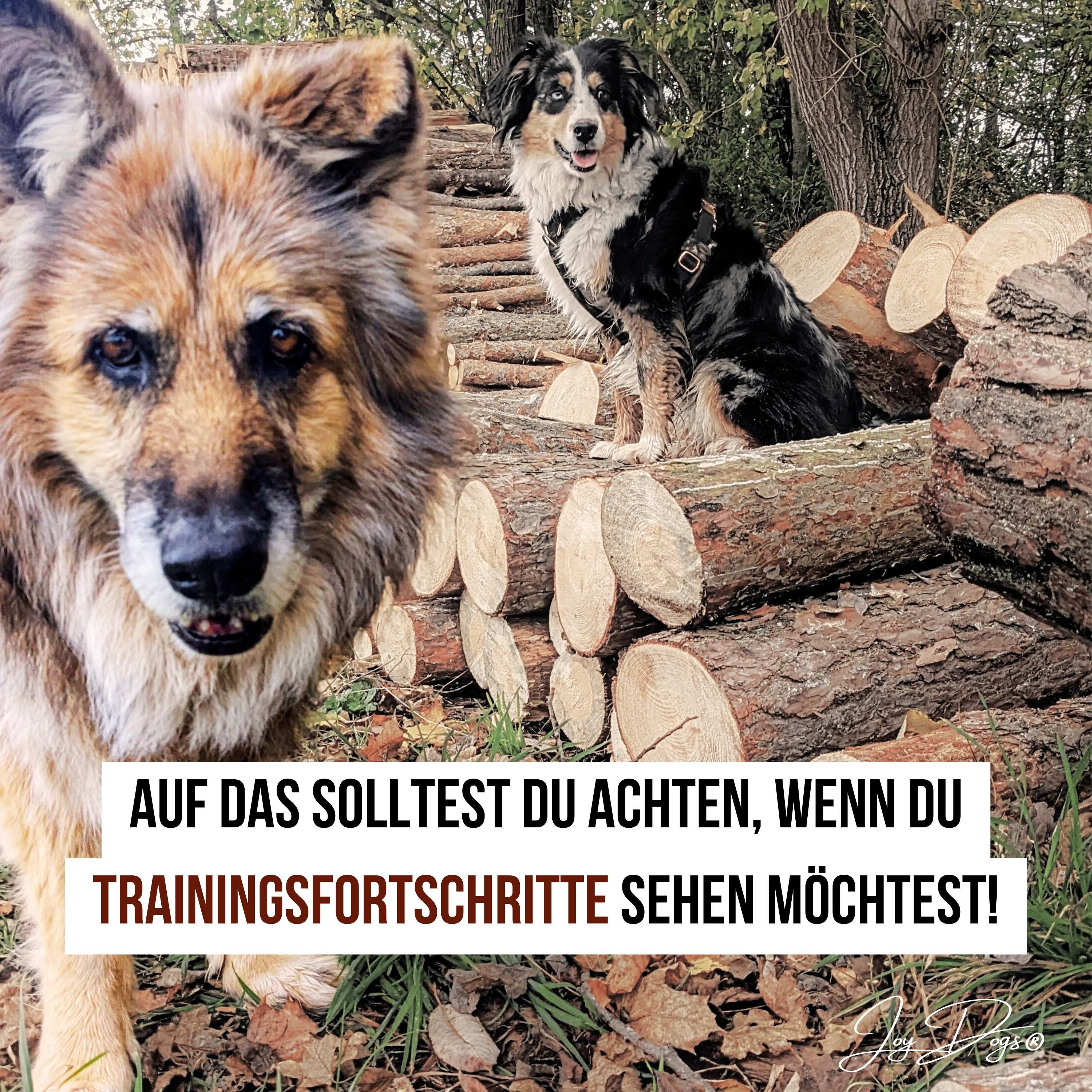 Auf das solltest du achten, wenn du Trainingsfortschritte sehen möchtest! episode artwork