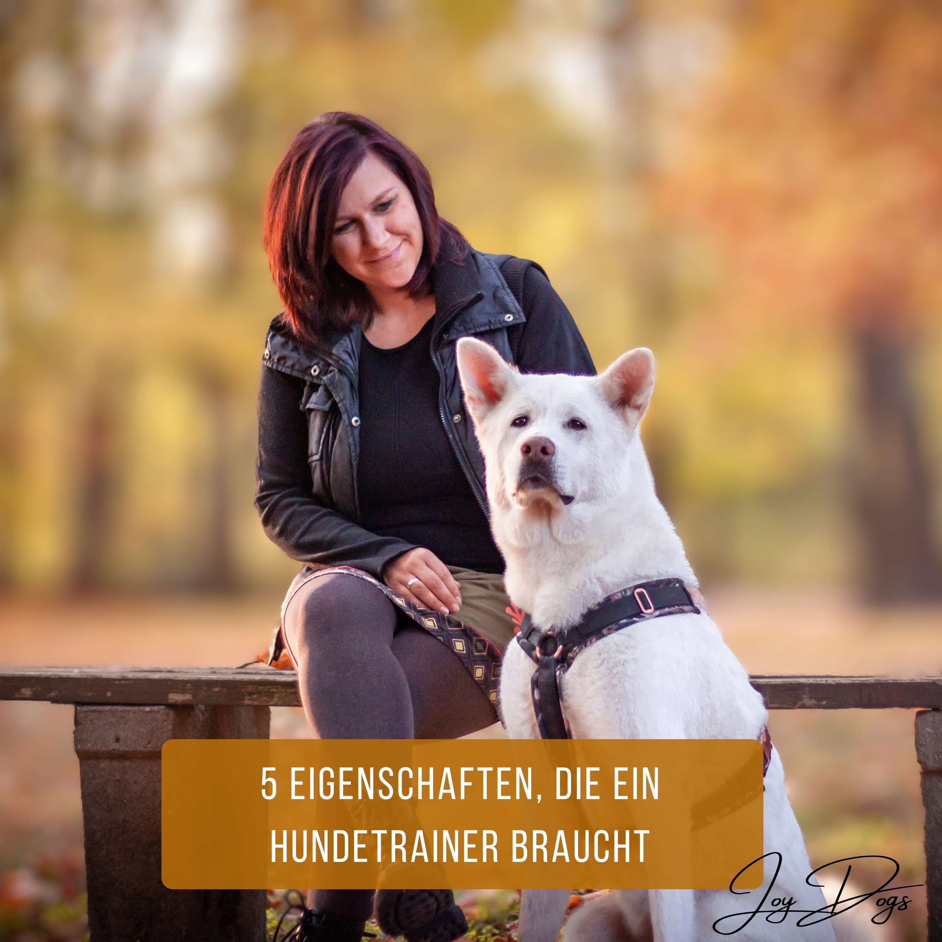 5 Eigenschaften, die ein Hundetrainer braucht! episode artwork